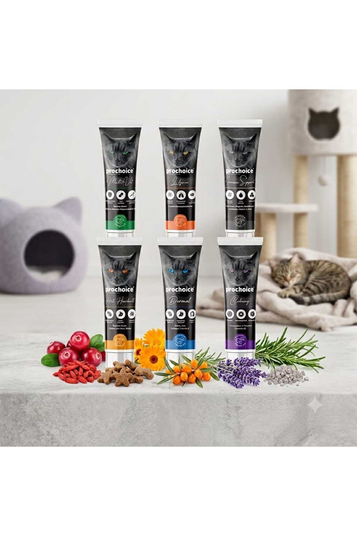 Pasta Kediler İçin Gıda Takviyesi 100 Ml Lik 6'lı Kedi Malt Seti