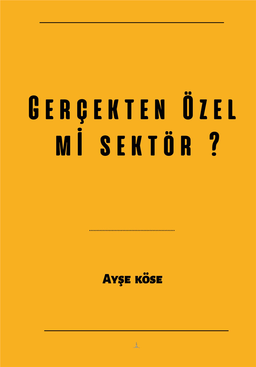 Gerçekten Özel Mi Sektör?