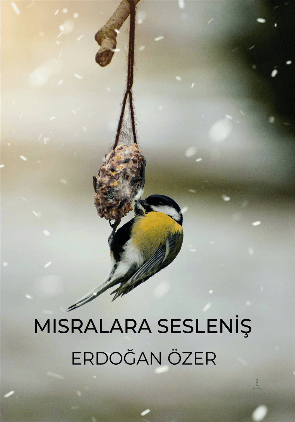 Mısralara Sesleniş