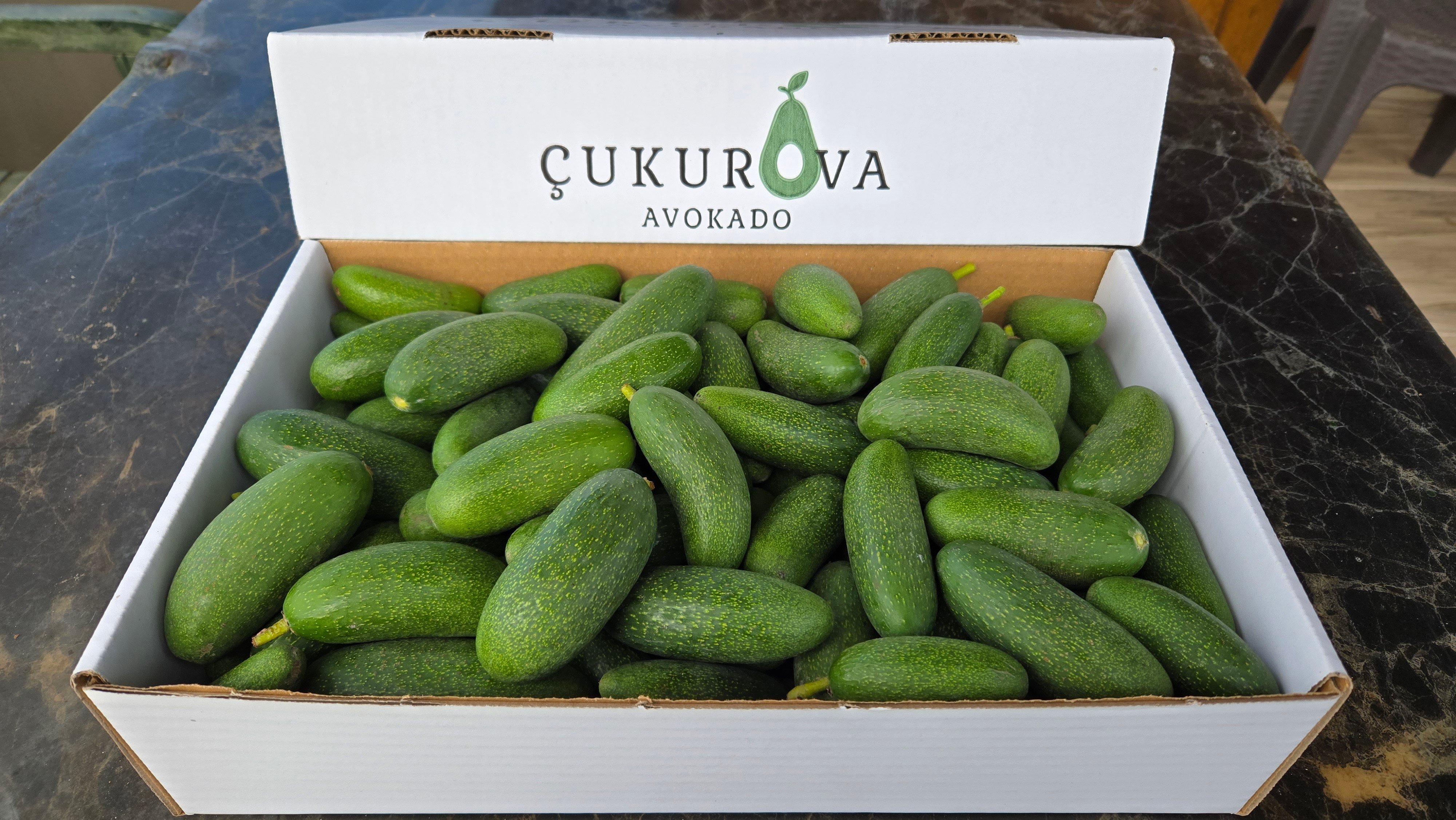 Bebek avokado