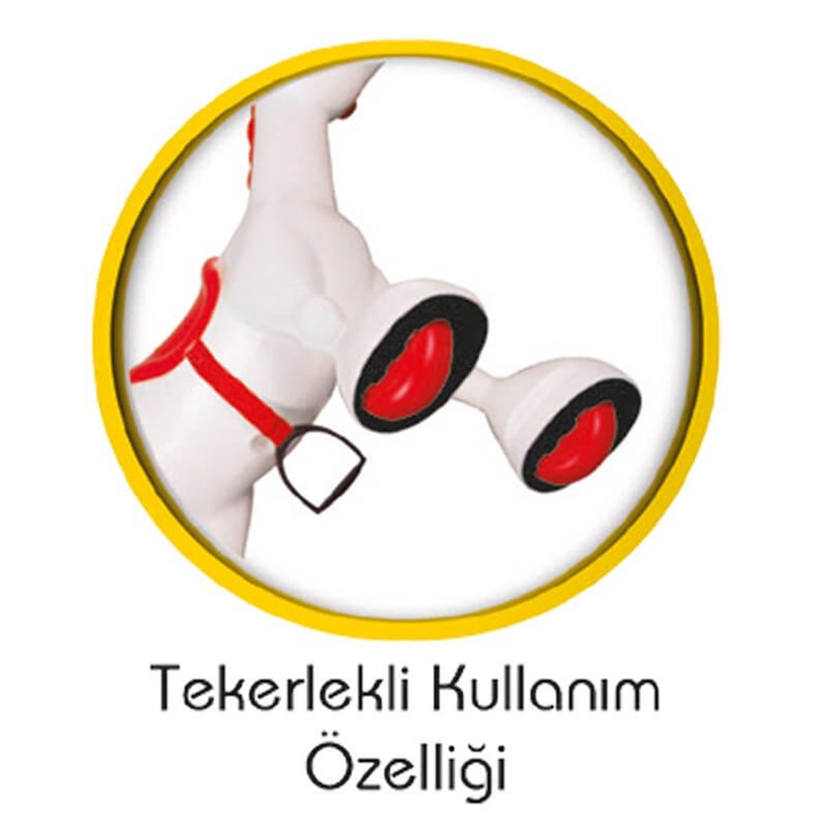 Pilsan Şanslı At