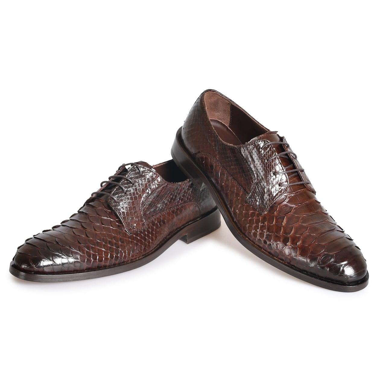 Flower Kahverengi Flower Piton Kahve Klasik Ayakkabı