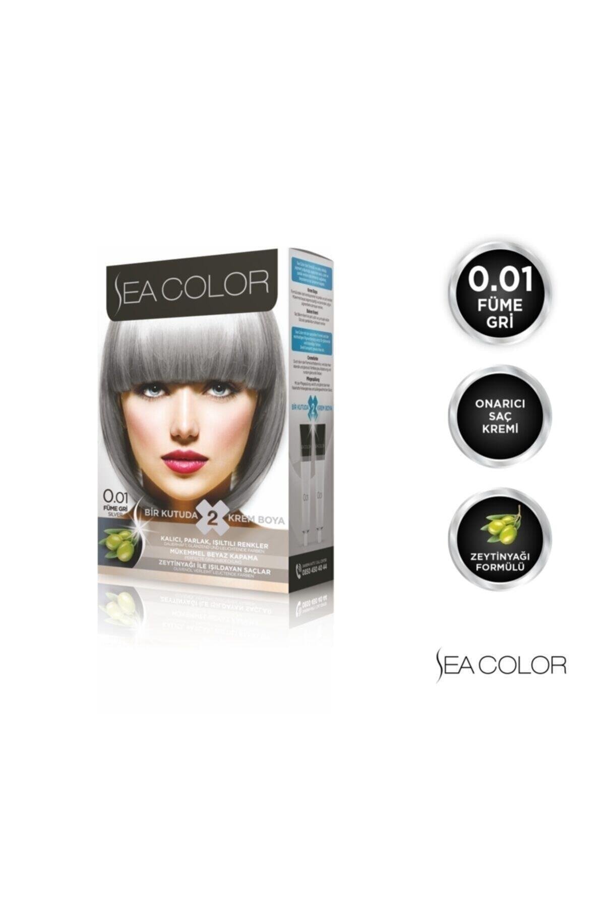 0.01 Füme Gri Set Boya