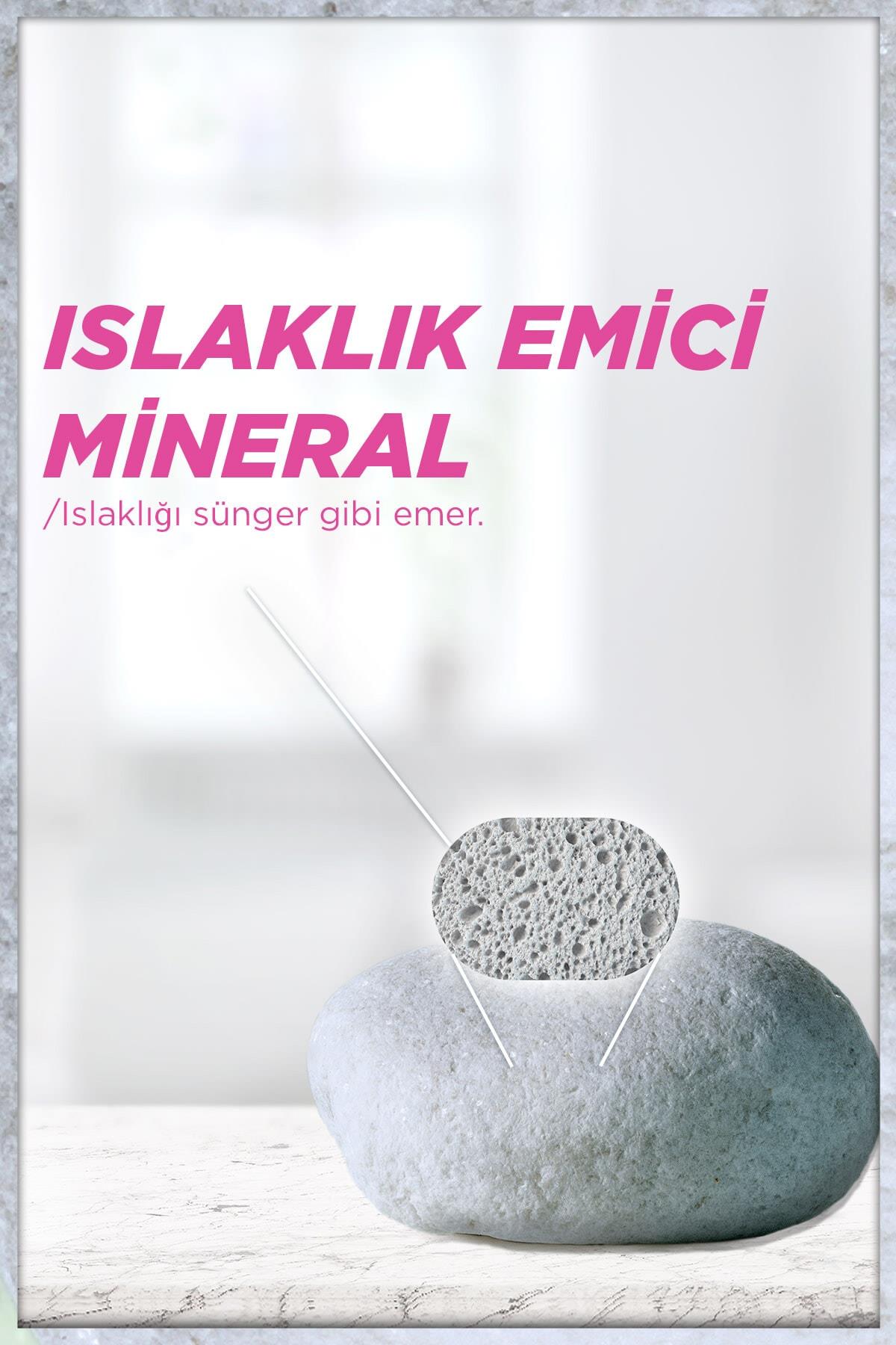 Garnier Mineral Lekesiz Koruma Kadın Roll-on