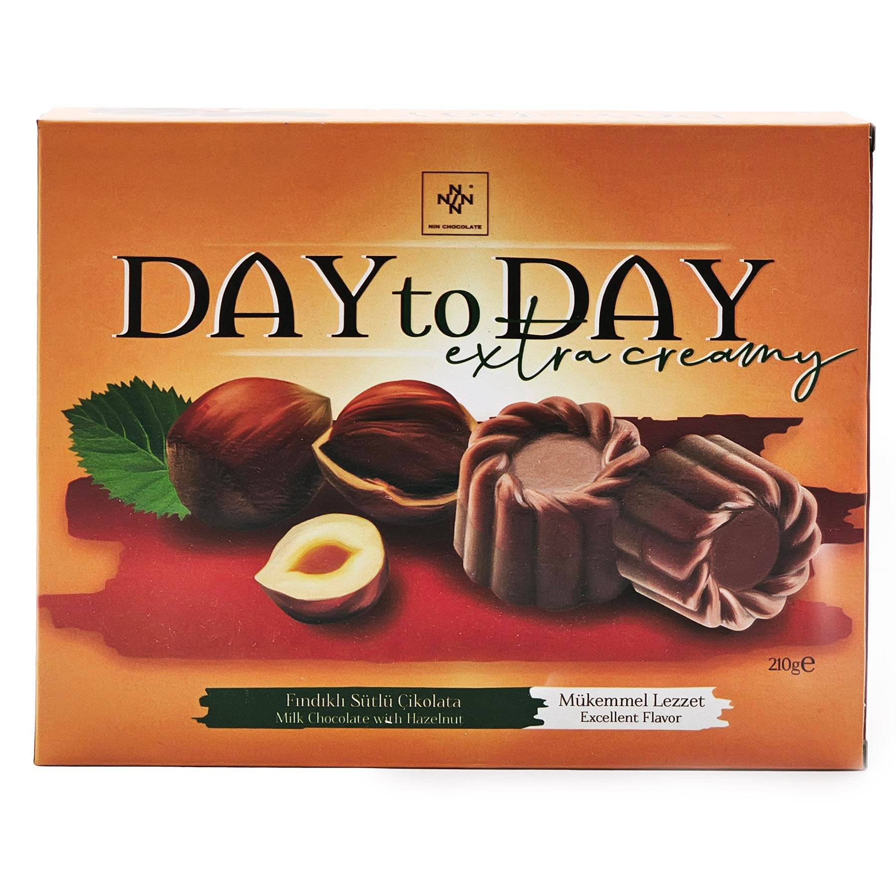 Day to Day Fındıklı Sütlü Çikolata