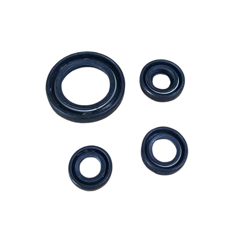 Bajaj Pulsar Ns 200 Keçe Seti Oem