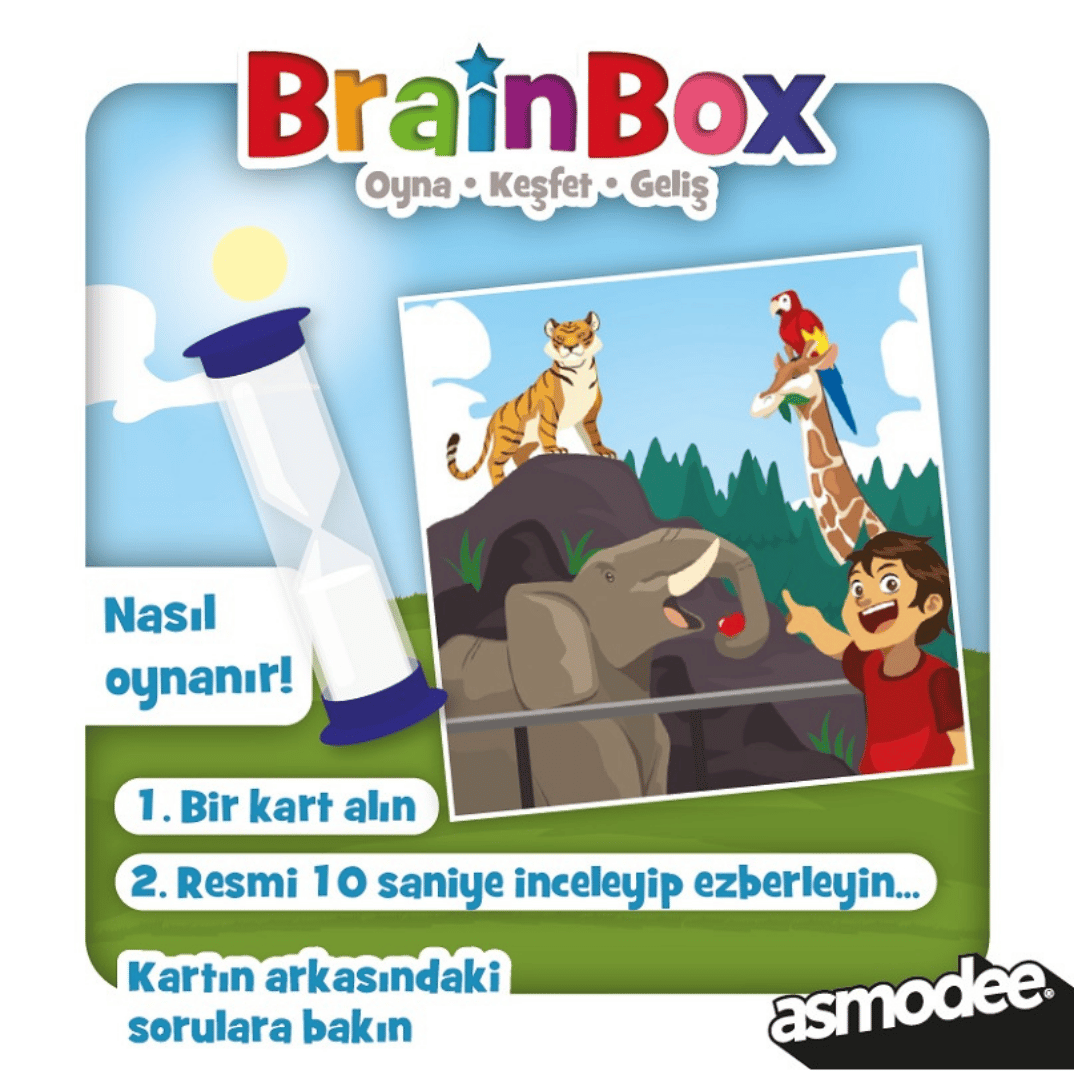 BrainBox İlk Resimlerim Yeni Tasarım 4+ Yaş
