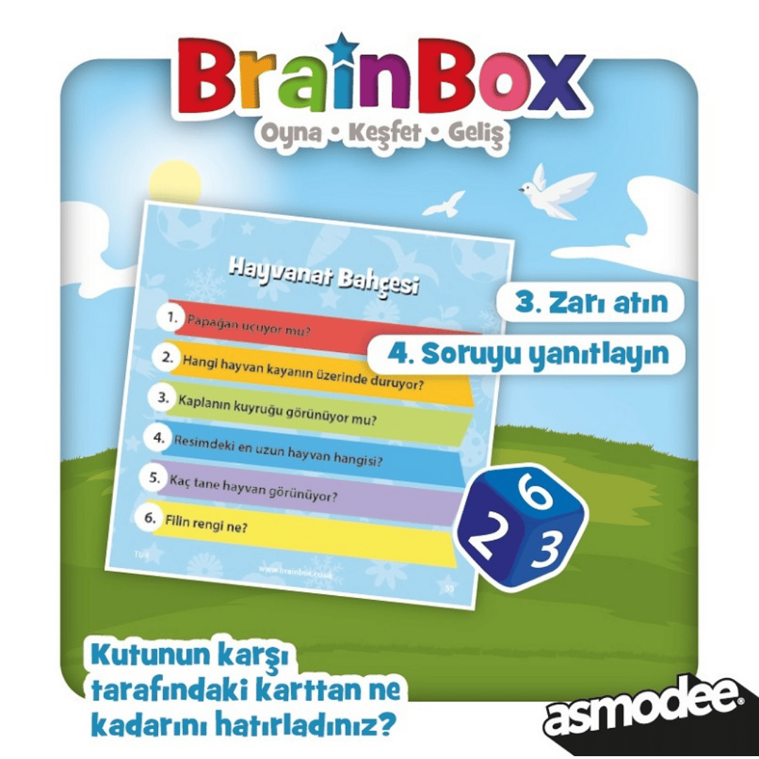 BrainBox İlk Resimlerim Yeni Tasarım 4+ Yaş