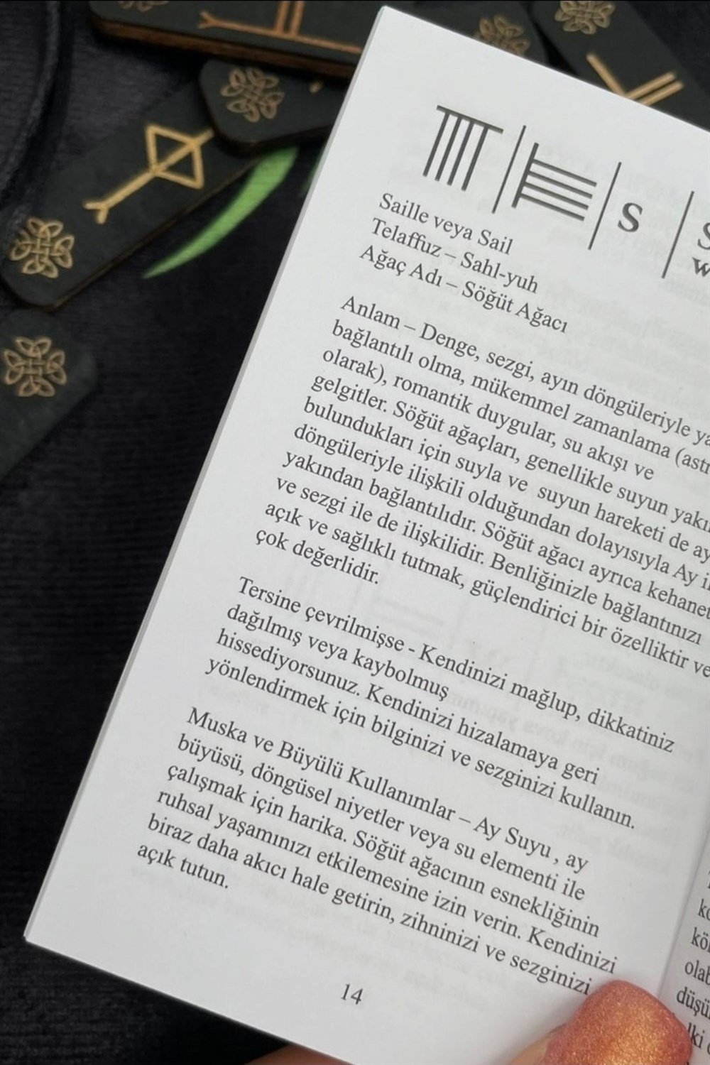 Oghams Fortune Kese Ve Örtülü Rune Set
