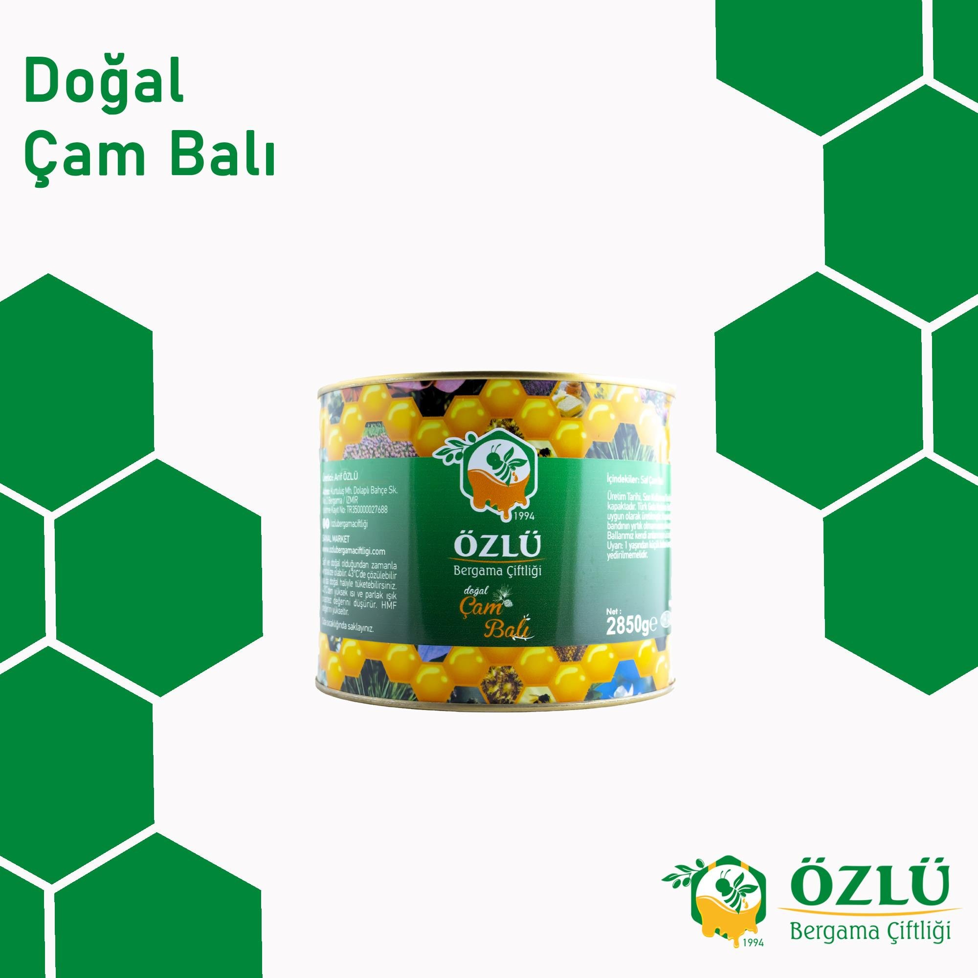 Çam Balı 2850 G Teneke