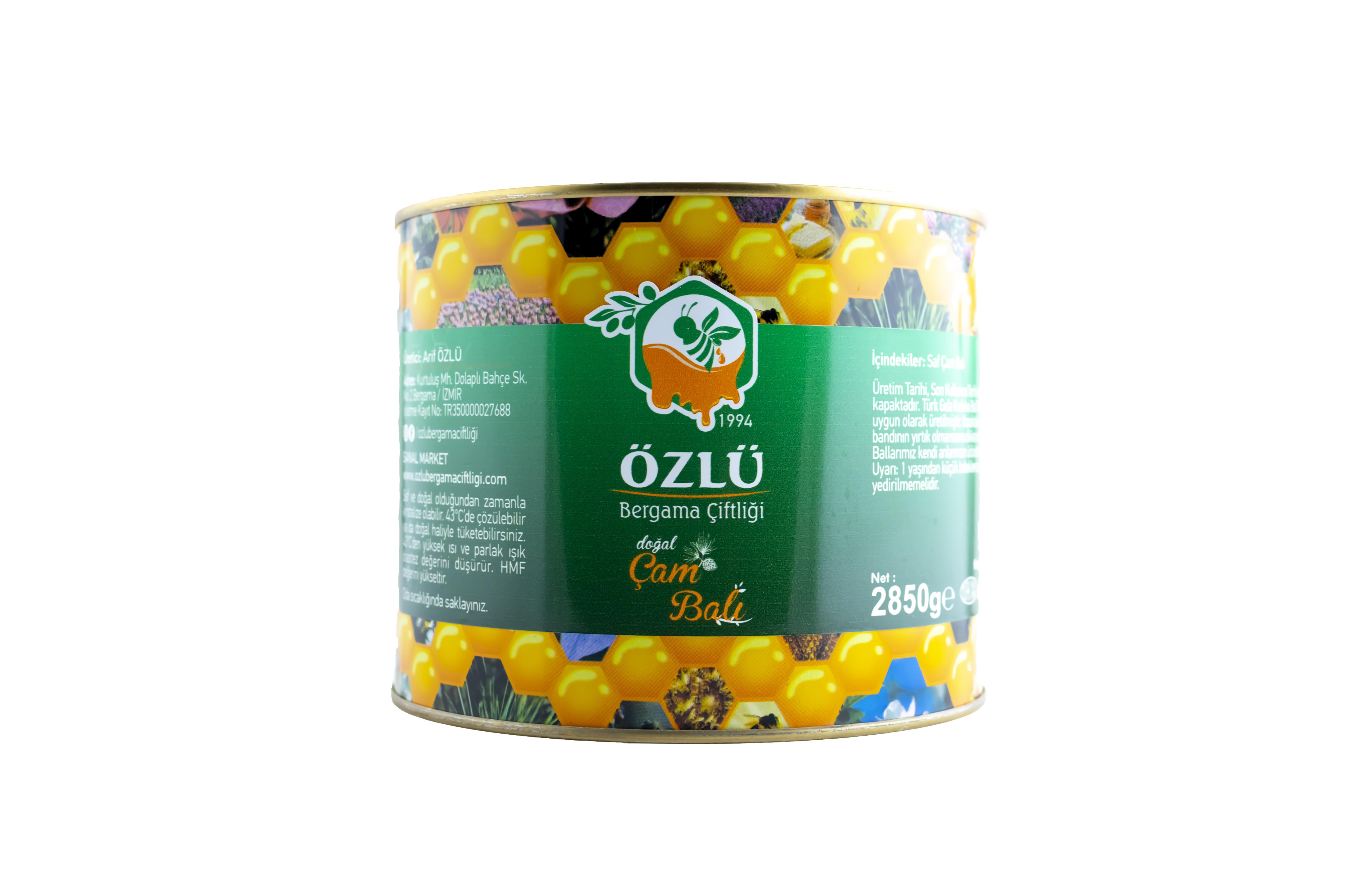 Çam Balı 2850 G Teneke