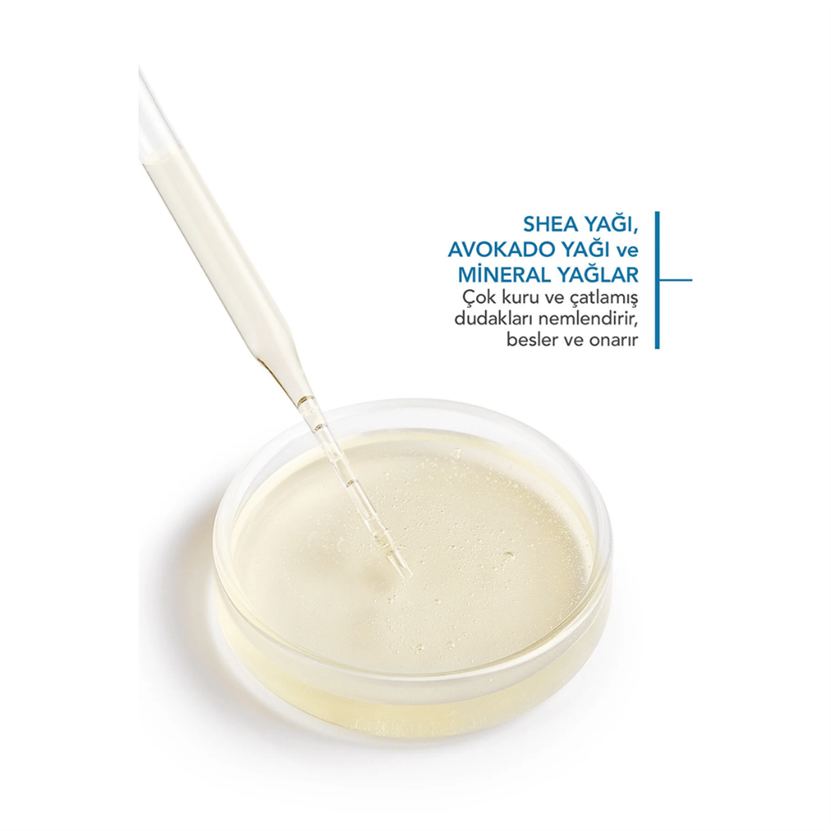Bioderma Atoderm Lip Balm 15ml - Bioderma