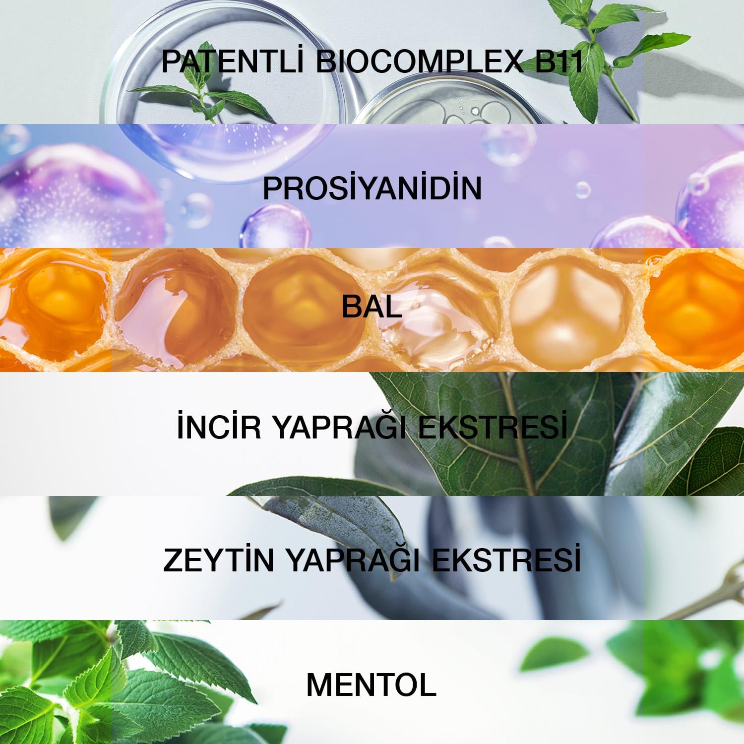 Bioxcin Forte Tanışma Kiti - Bioxcin