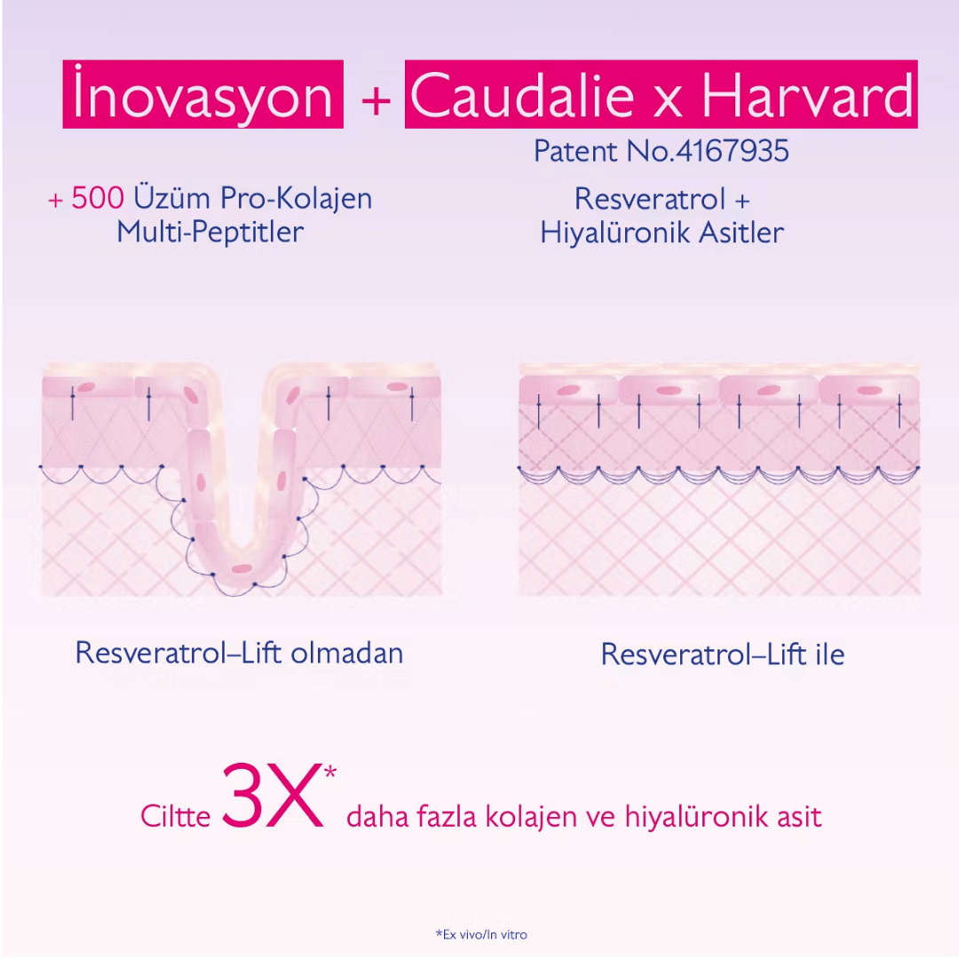 Caudalie Resveratrol Lift Sıkılaştırıcı Etkili Gece Bakım Kremi 50 ml - Caudalie