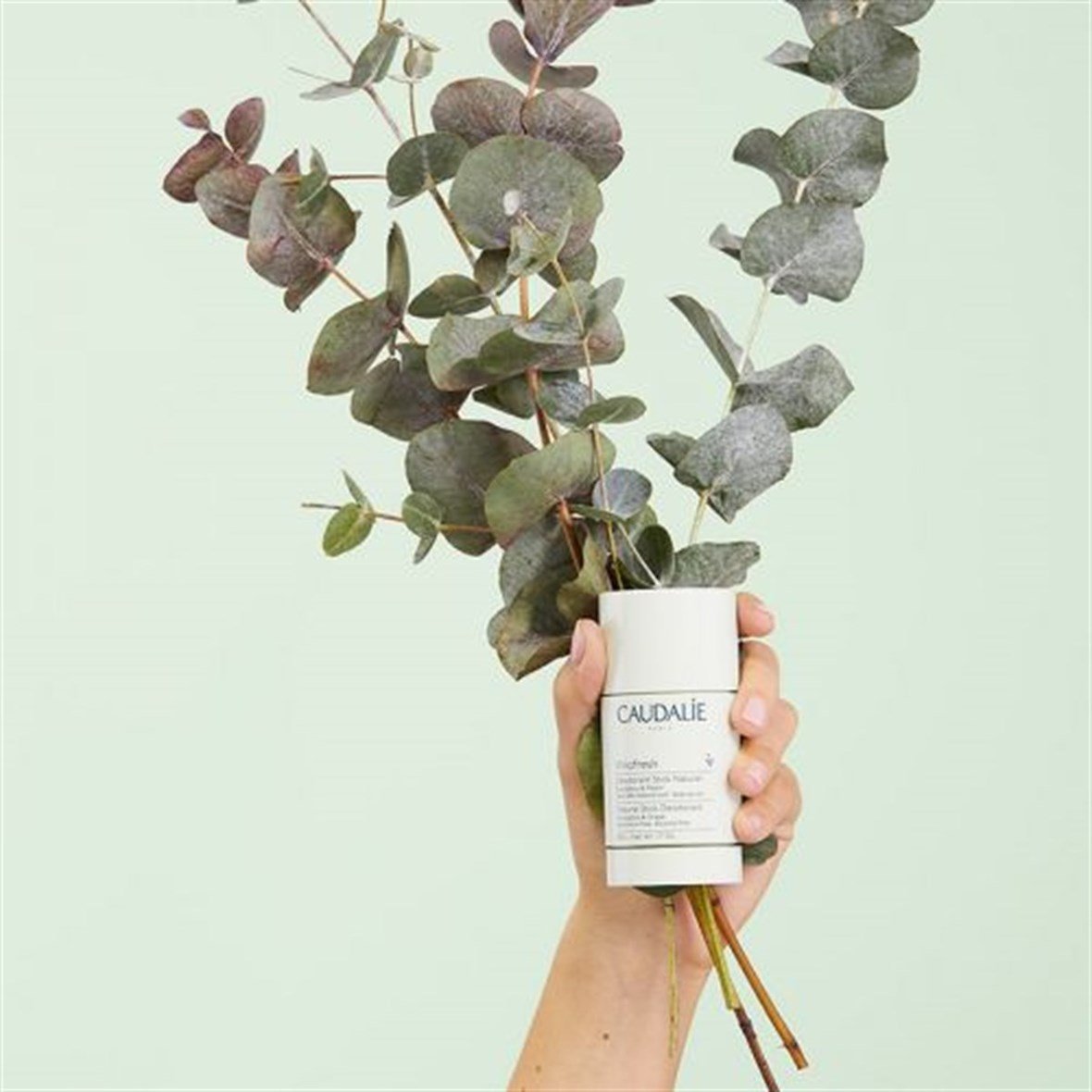 Caudalie Vinofresh Doğal Stick Deodorant 50 gr - Caudalie