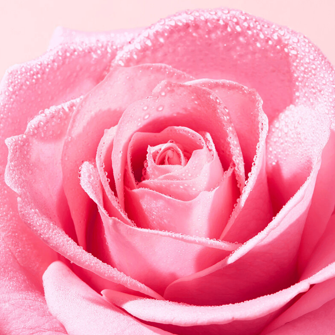 Nuxe Very Rose Yüz Peelingi 75 ml - Nuxe