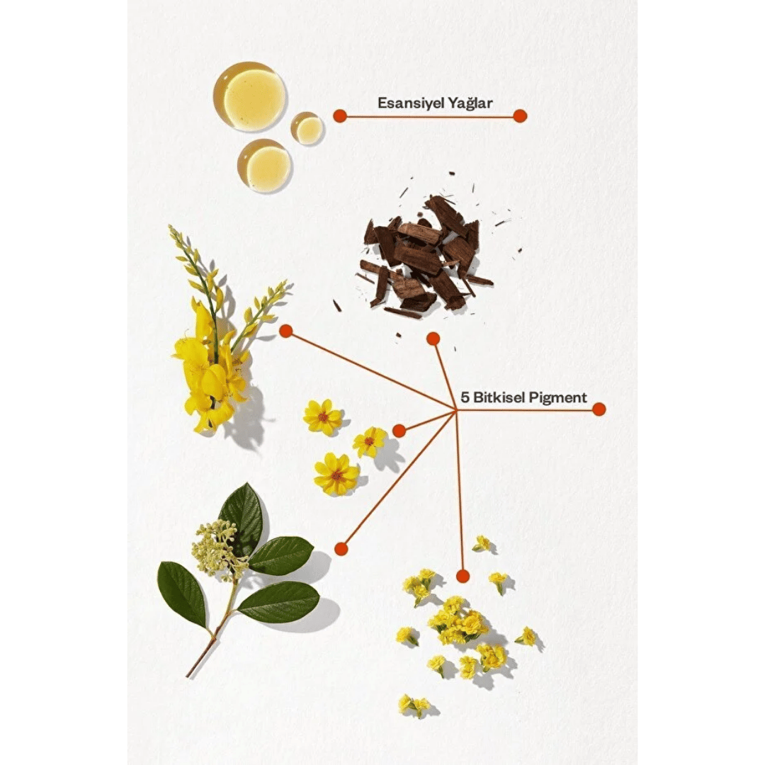 Phyto Phytocolor 3 Koyu Kestane Amonyaksız Kalıcı Bitkisel Saç Boyası İkili Avantaj Set - Phyto
