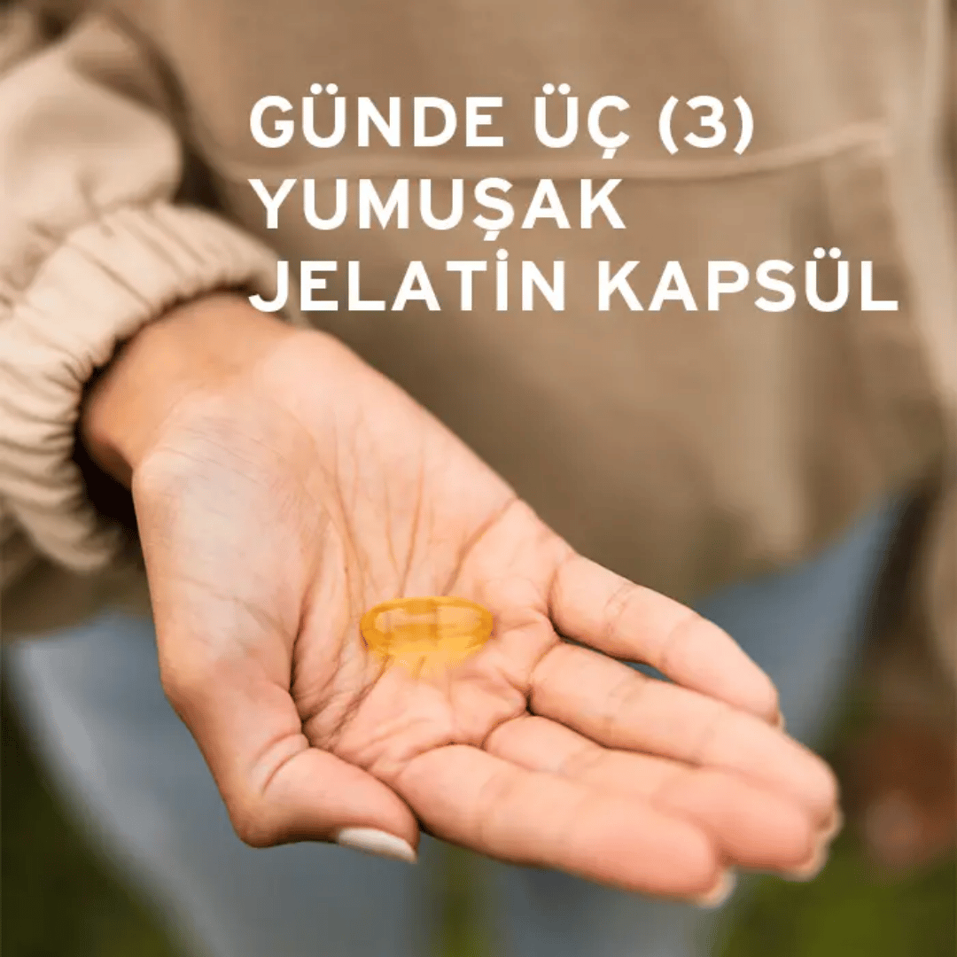 Solgar EFA 1300 mg Omega 3-6-9 60 Softgel - Solgar