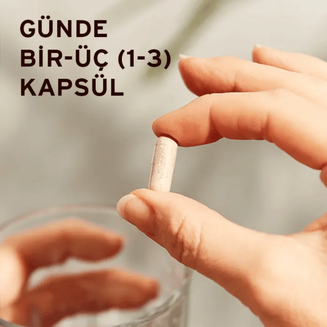 Solgar Korean Ginseng 50 Kapsül - Solgar