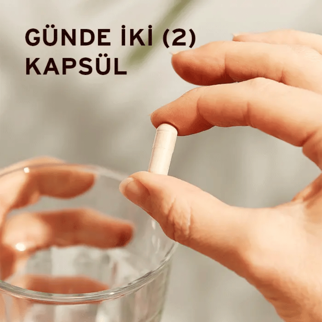Solgar Psyllium Husks Fibre 500 mg 200 Kapsül - Solgar