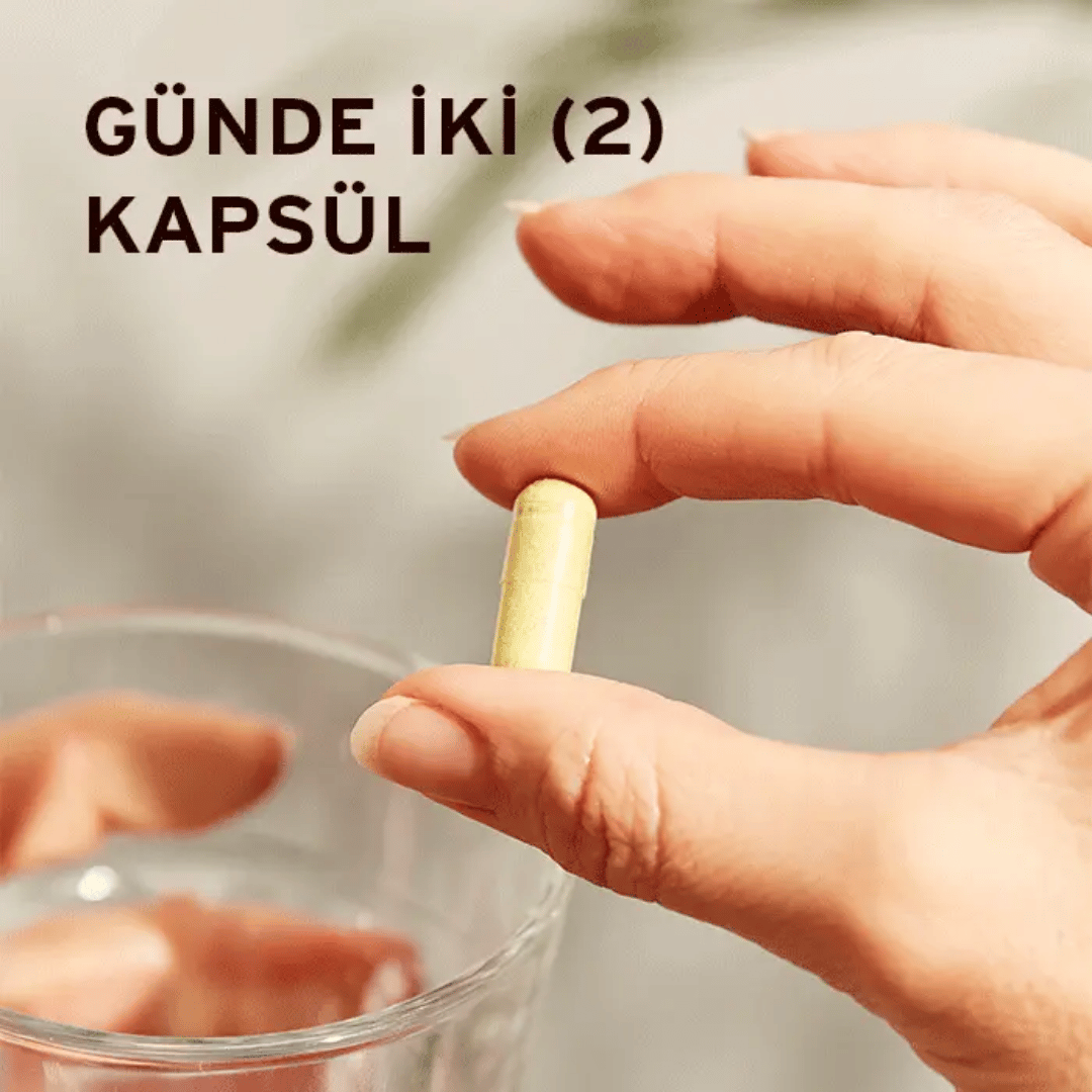 Solgar Quercetin Complex with Ester-C Plus 50 Tablet - Solgar