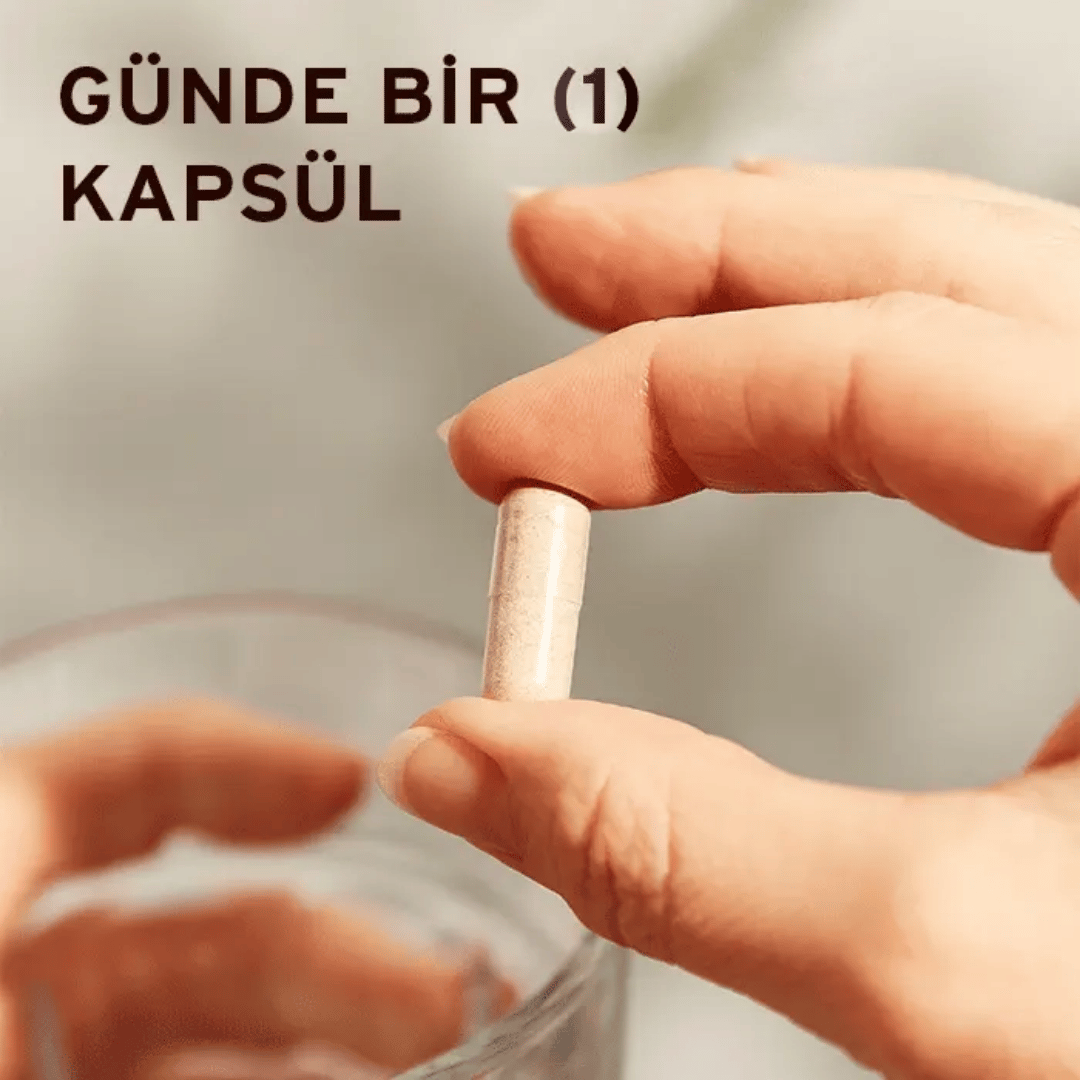 Solgar Rhodiola Root Extract 60 Kapsül - Solgar