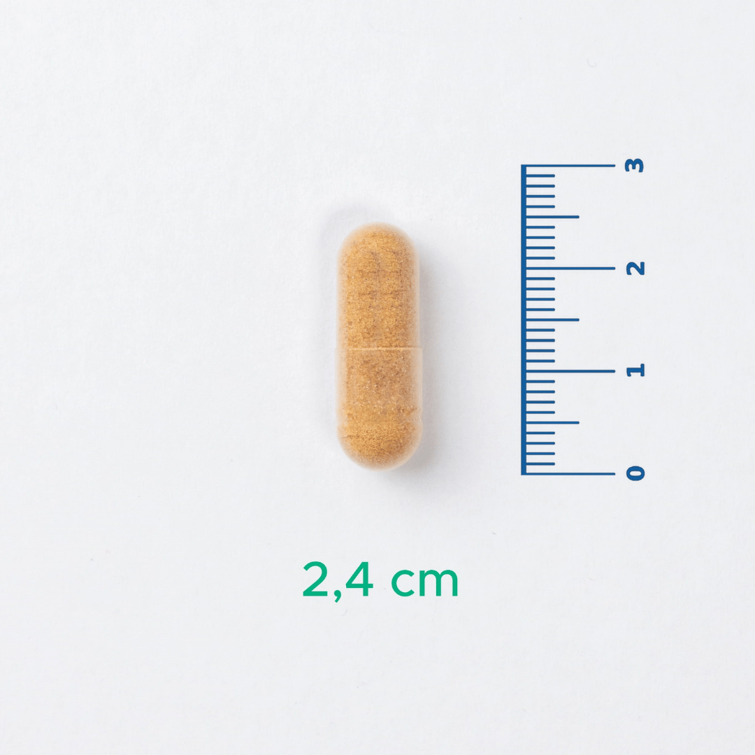 Velavit V-Proguard 90 Kapsül - Velavit
