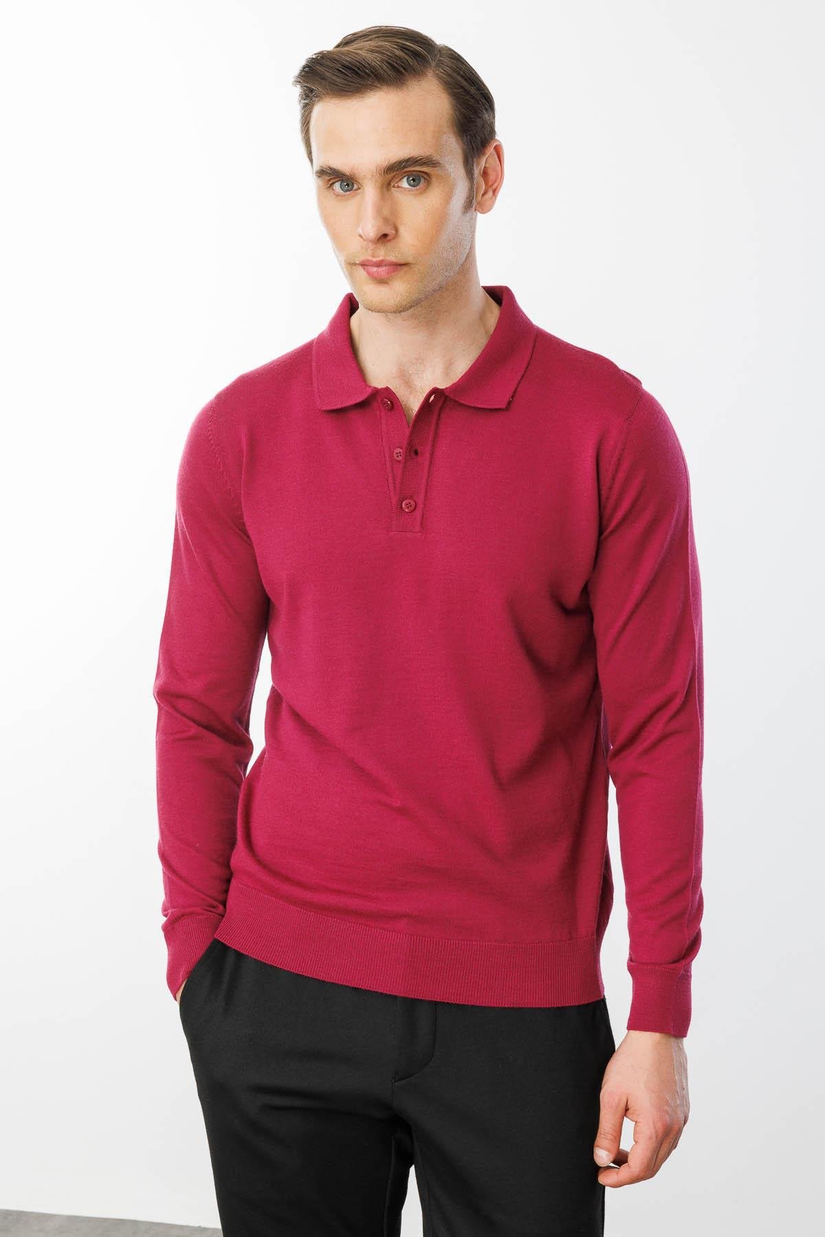 21601Erkek Basic Polo Yaka İnce Triko Kazak Sıklamen