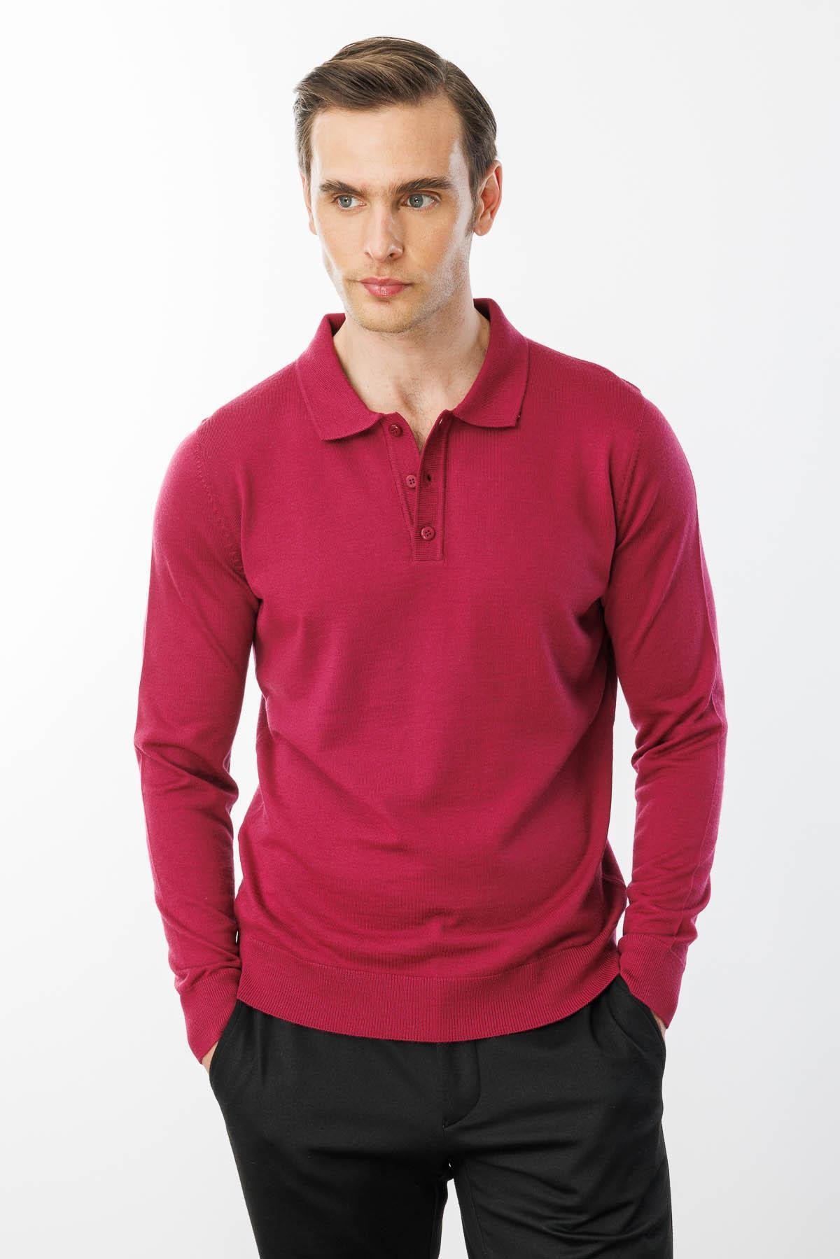 21601Erkek Basic Polo Yaka İnce Triko Kazak Sıklamen