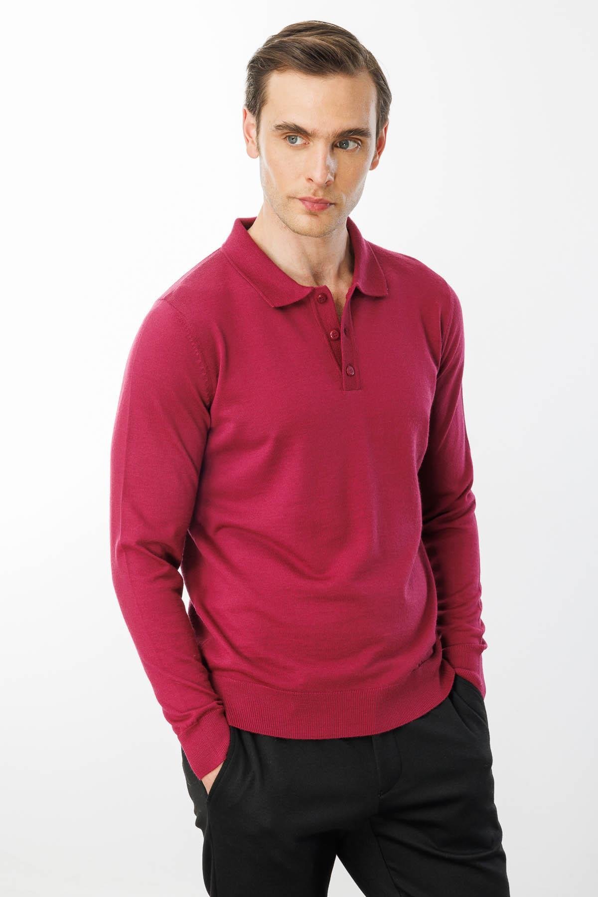 21601Erkek Basic Polo Yaka İnce Triko Kazak Sıklamen