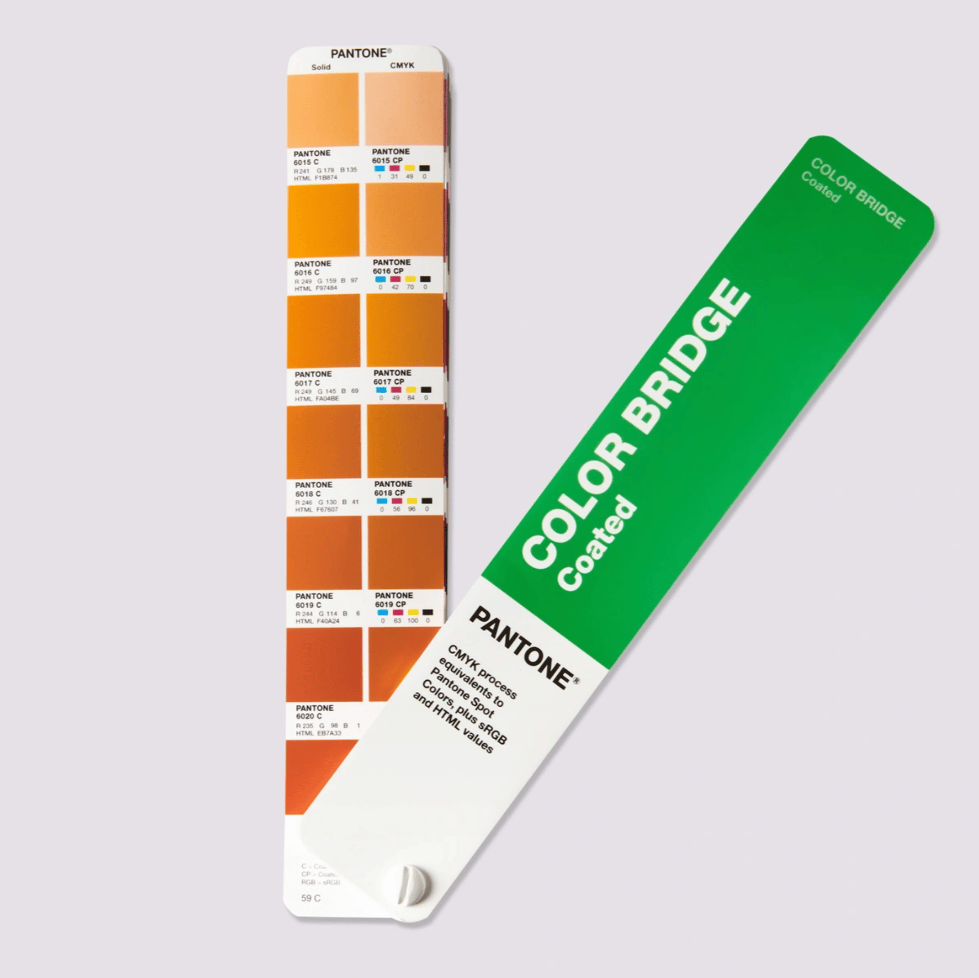 COLOR BRIDGE GUIDE COATED