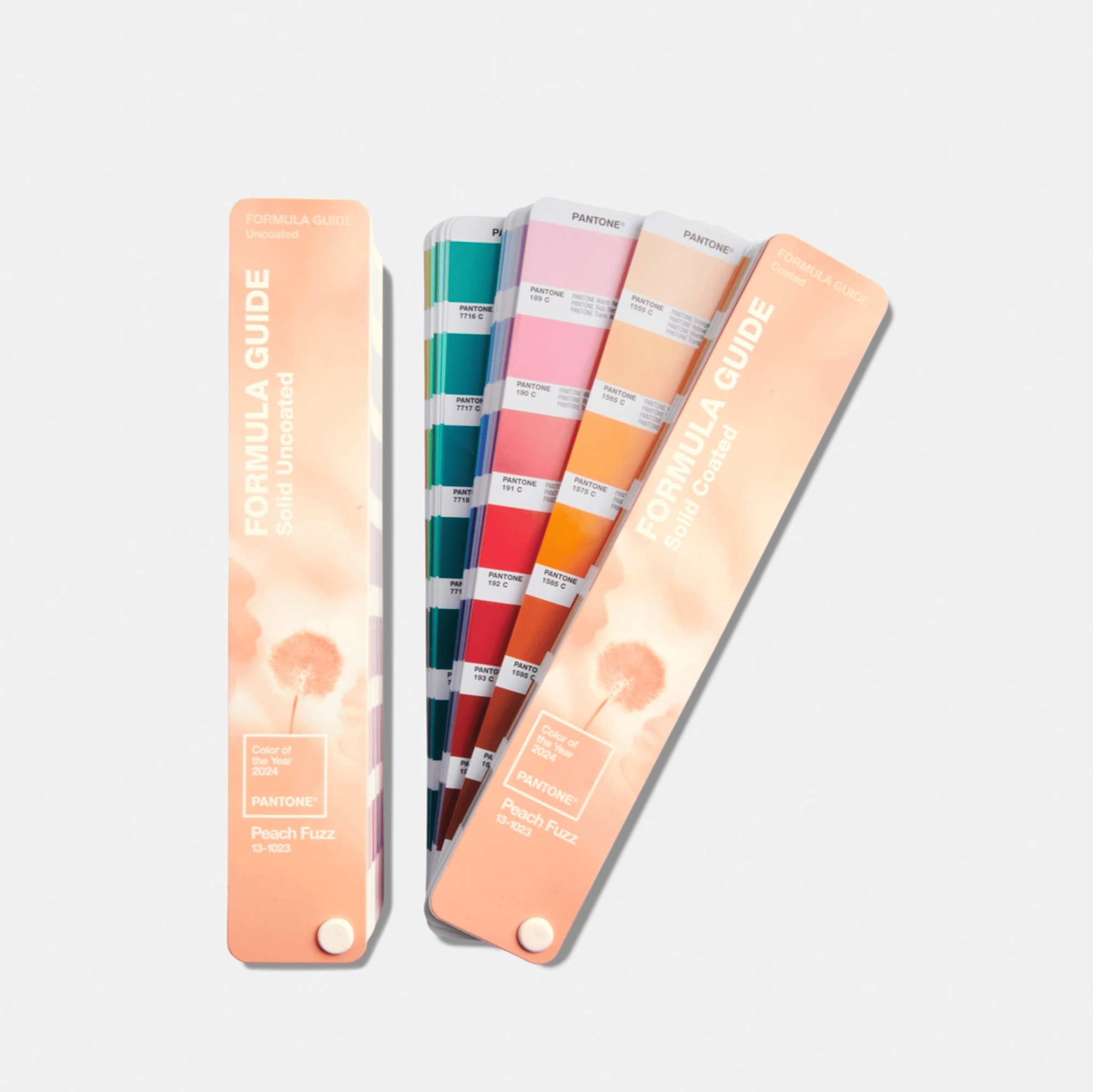 FORMULA GUIDE, LIMITED EDITION PANTONE COLOR OF THE YEAR 2024