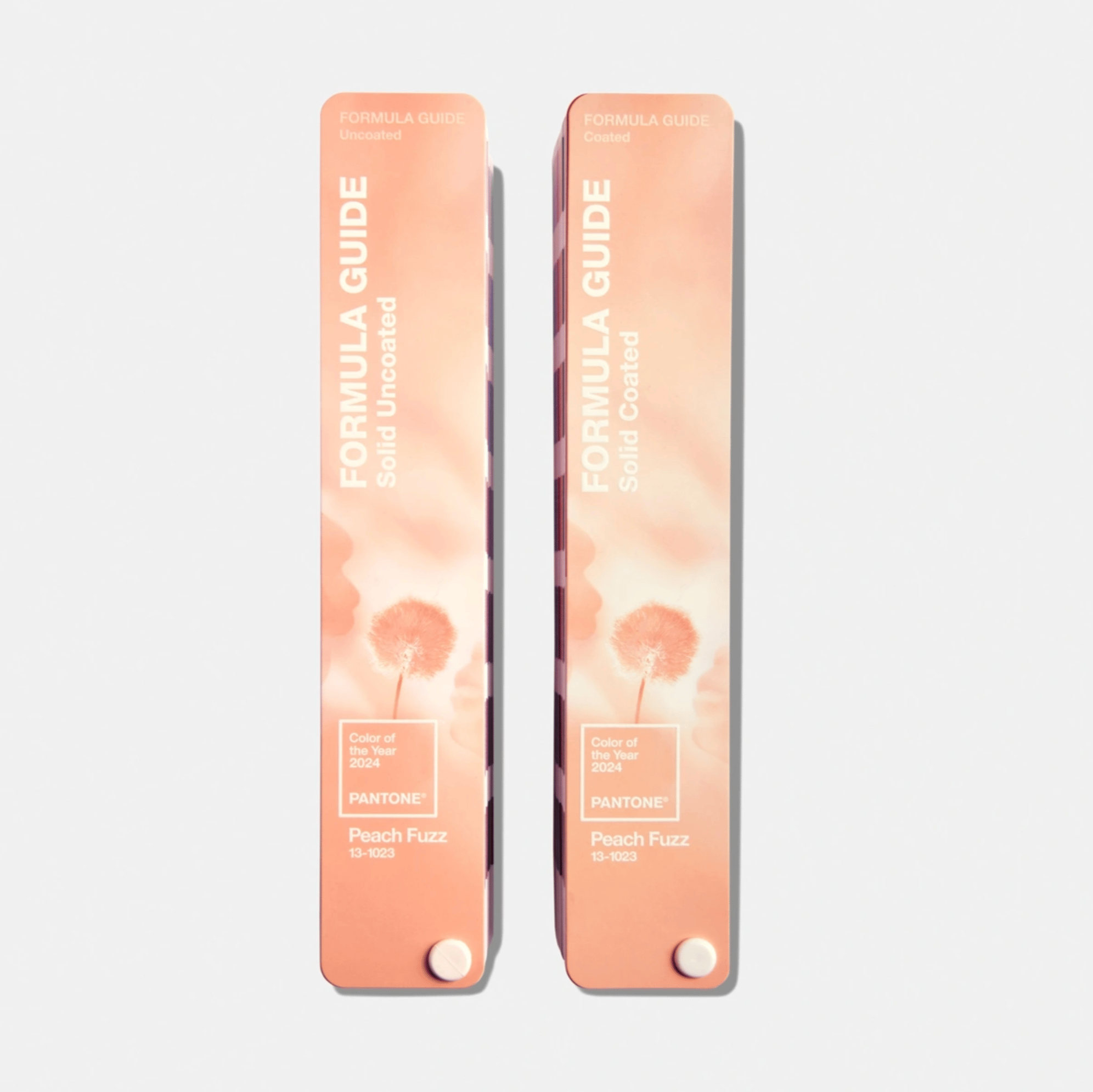 FORMULA GUIDE, LIMITED EDITION PANTONE COLOR OF THE YEAR 2024