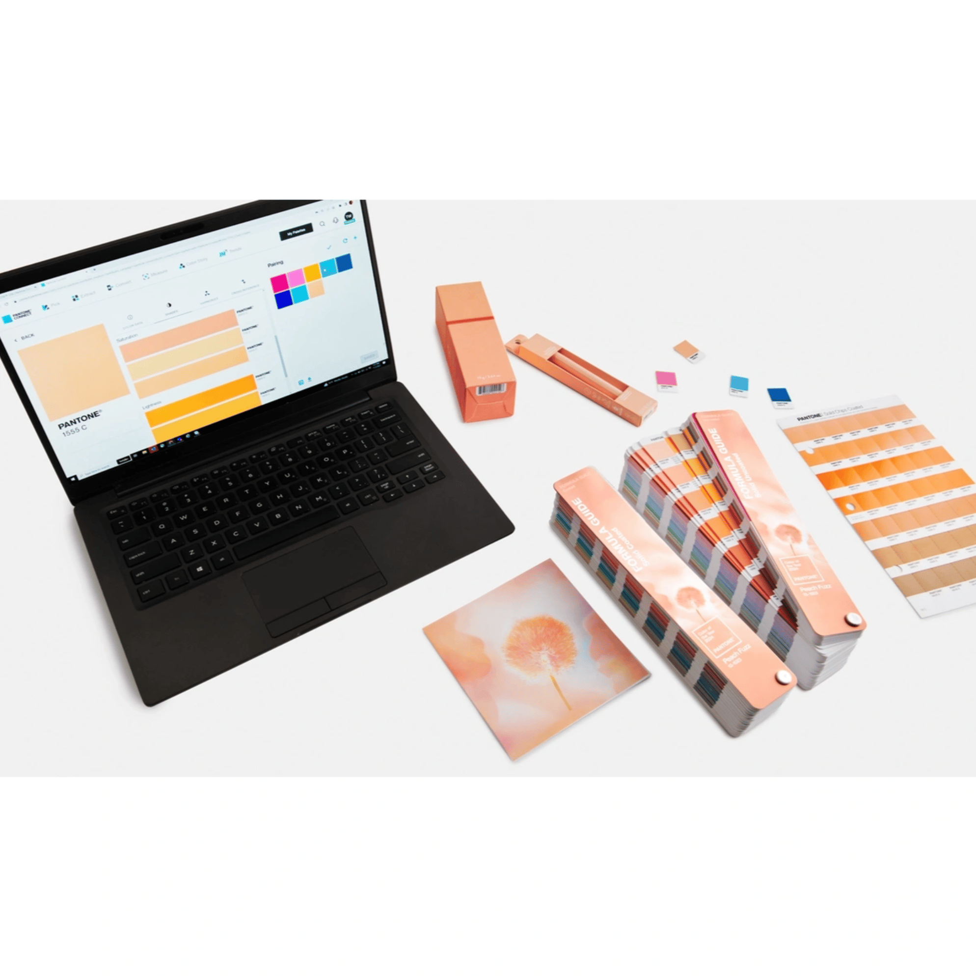 FORMULA GUIDE, LIMITED EDITION PANTONE COLOR OF THE YEAR 2024