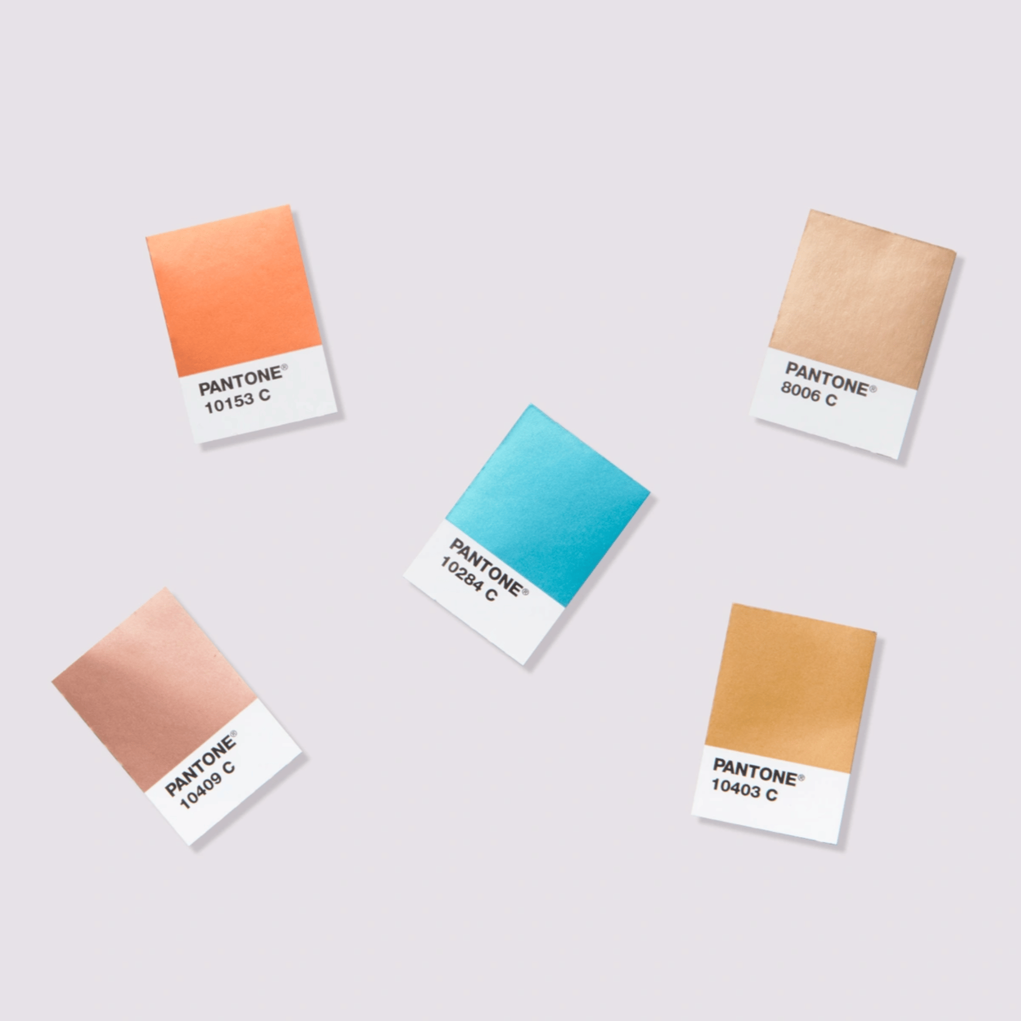 METALLIC CHIPS BOOK