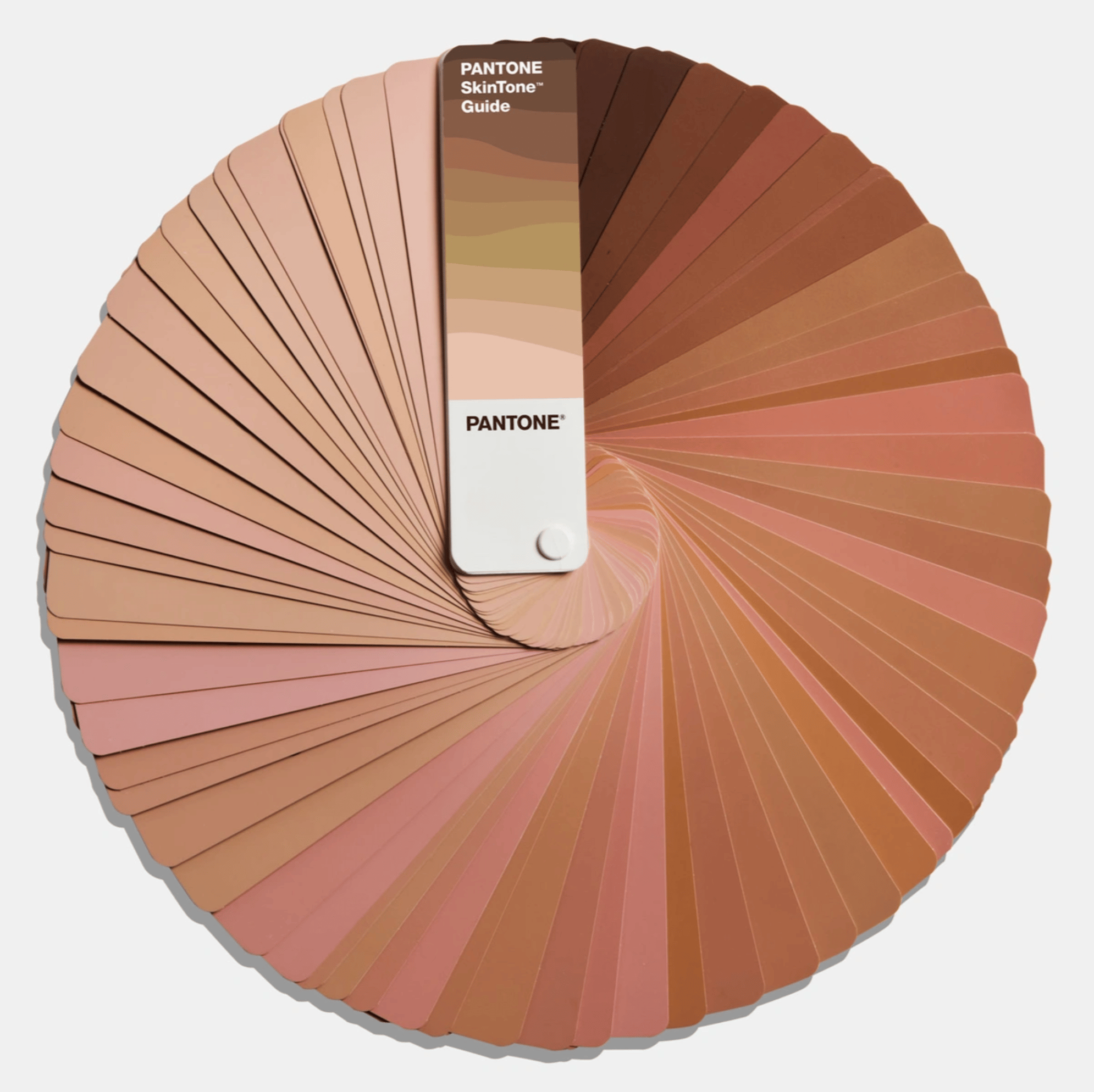 PANTONE SKINTONE GUİDE