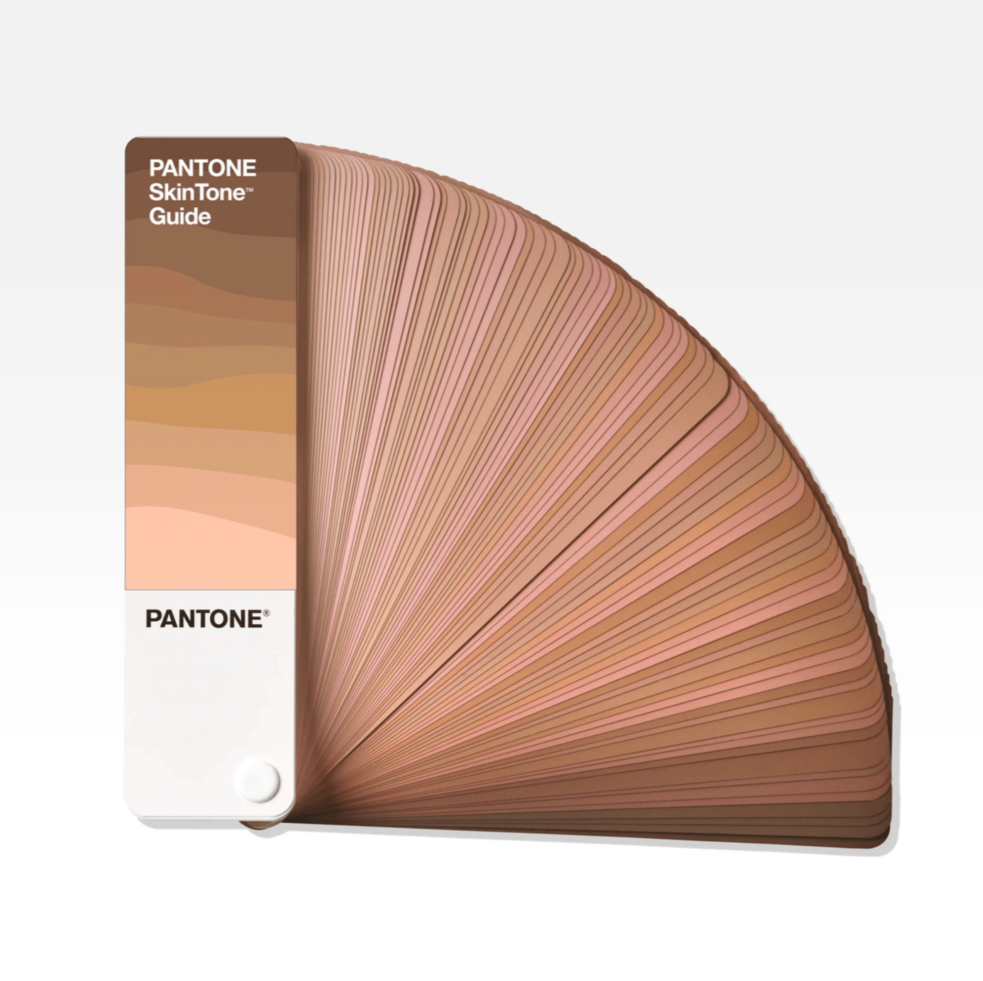PANTONE SKINTONE GUİDE