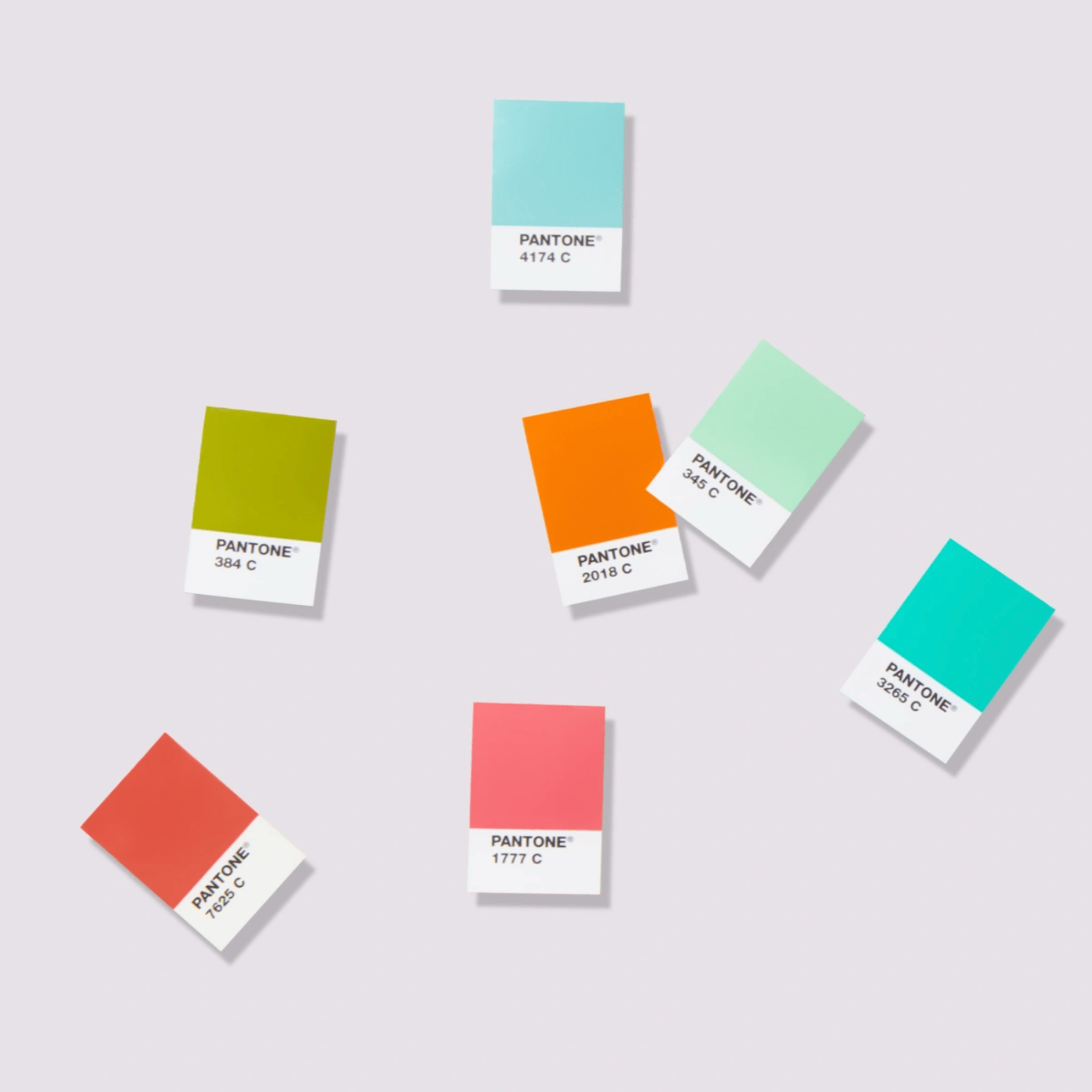 PANTONE SOLID CHIPS | COATED & UNCOATED