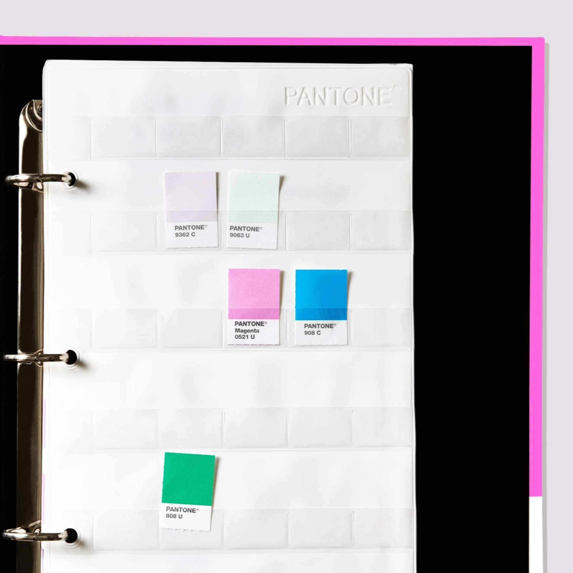PASTELS & NEONS CHIPS | COATED & UNCOATED