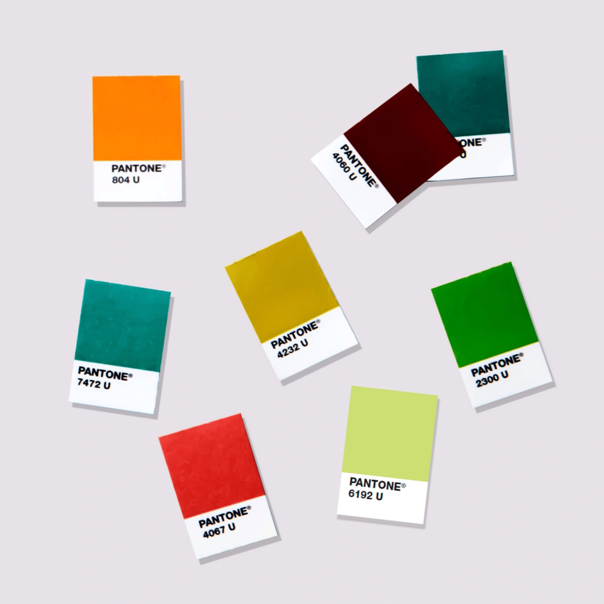 SOLID CHIPS SUPPLEMENT | COATED & UNCOATED