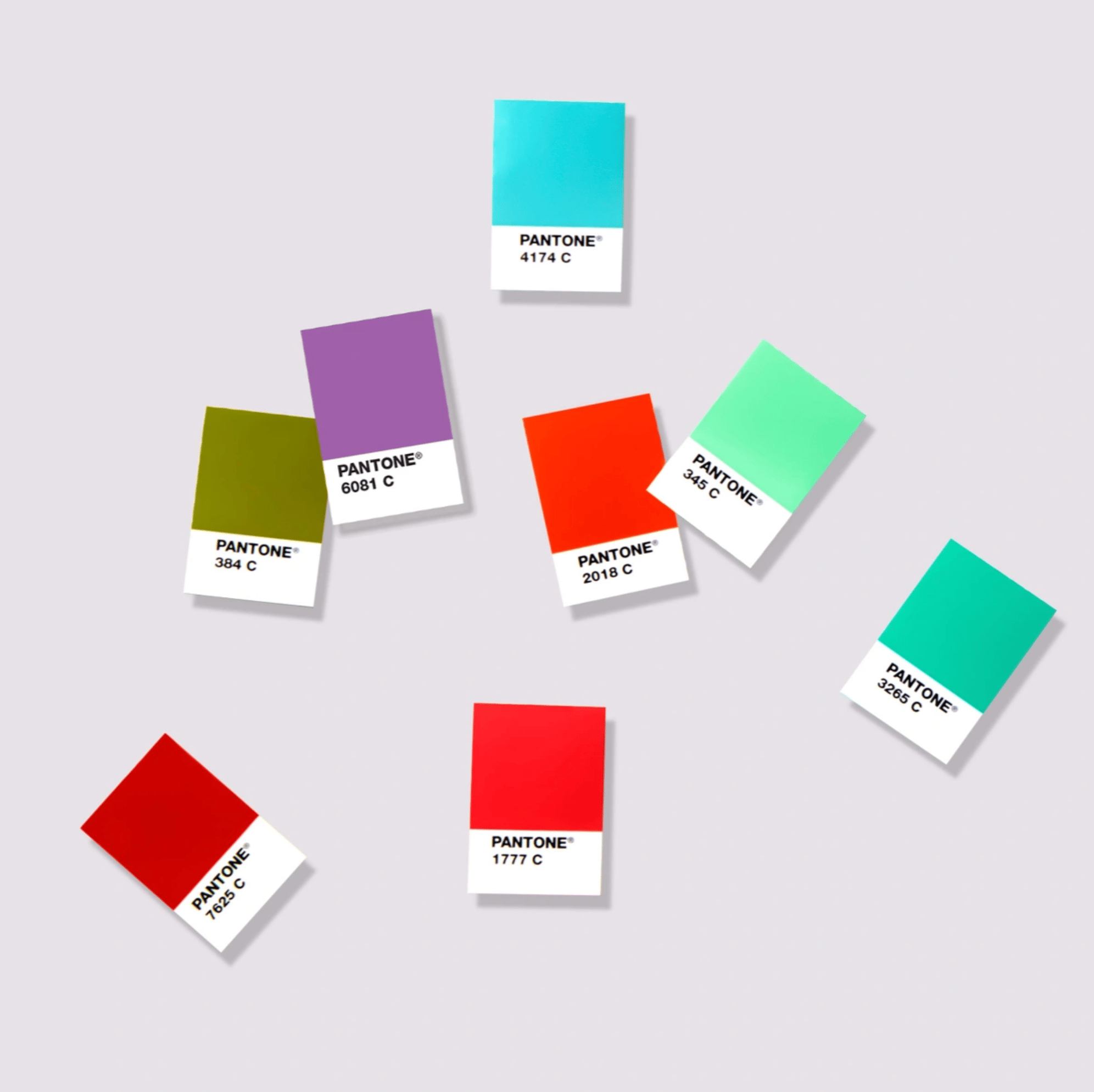 SOLID CHIPS SUPPLEMENT | COATED & UNCOATED