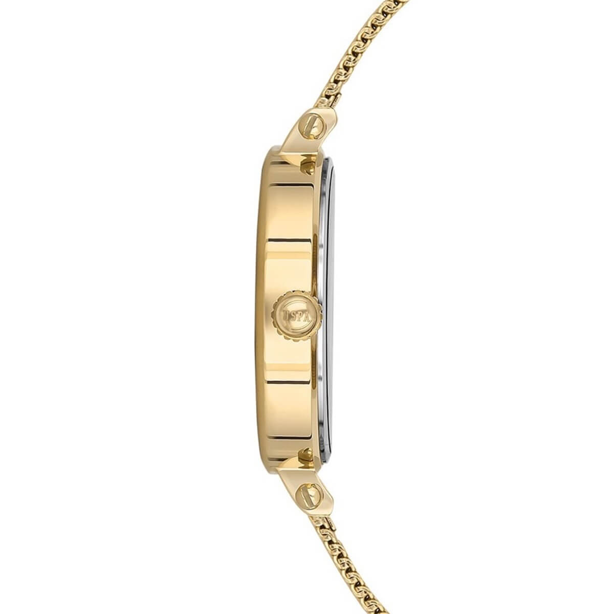 U.S. Polo Assn. USPA2034-02 Kadın Kol Saati