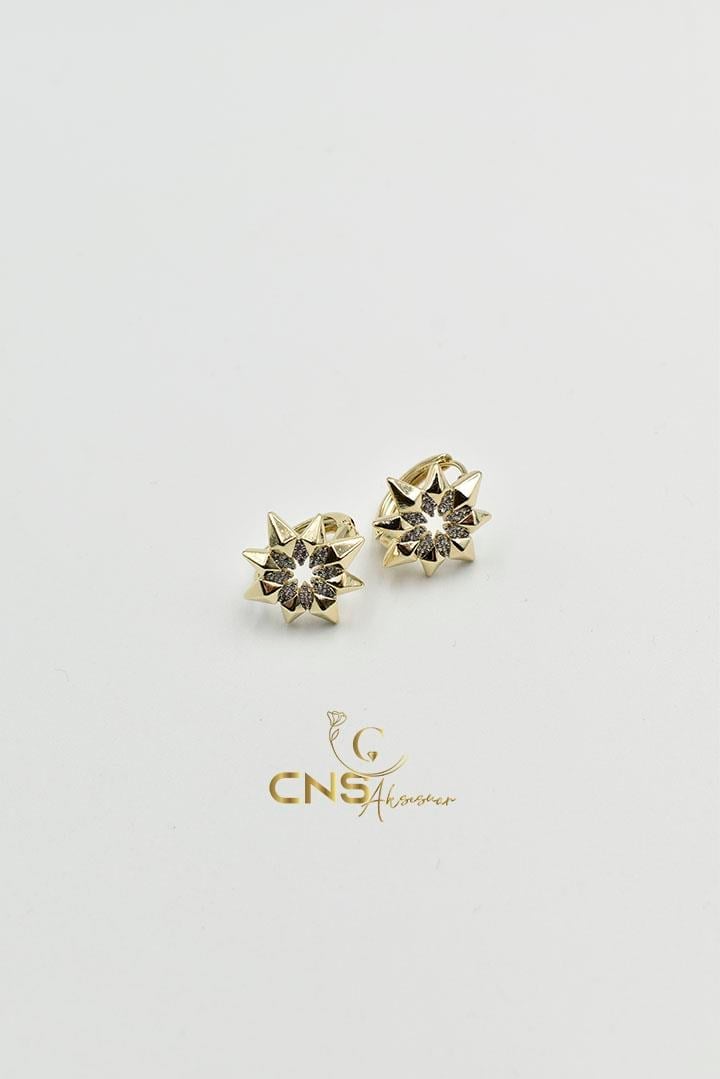 14K Vip Yıldız Küpe