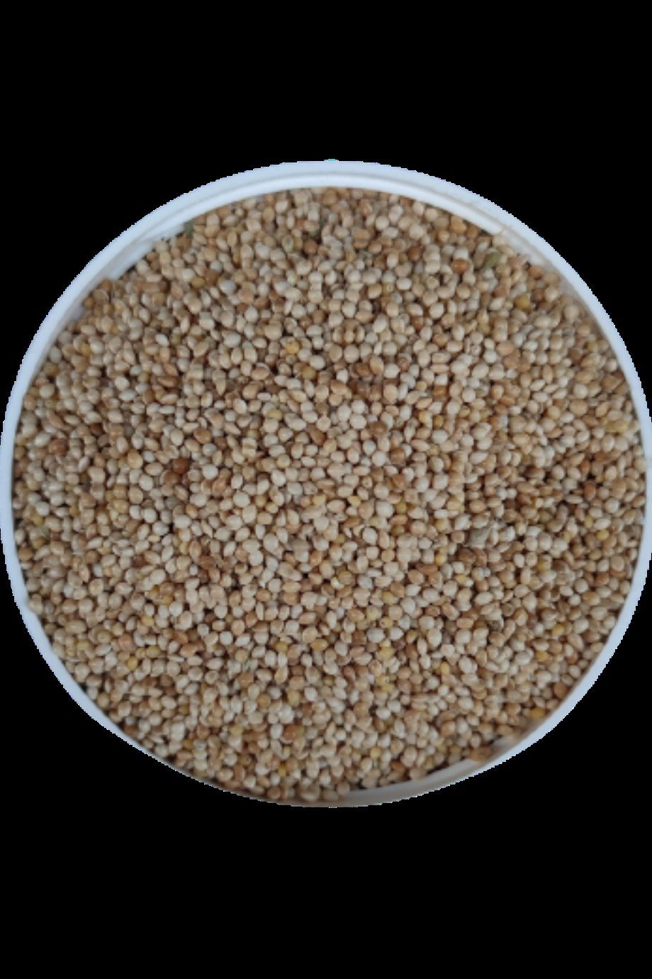 Ak Darı Muhabbet Kuşu Yemi 10Kg