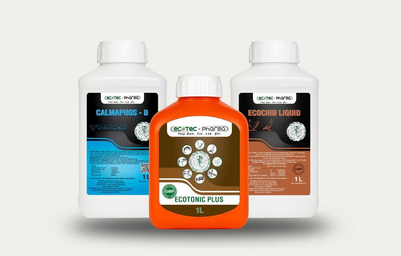 Besleyici 3'lü Set 3×1 L | Büyüme, Enerji ve Mineral Desteği