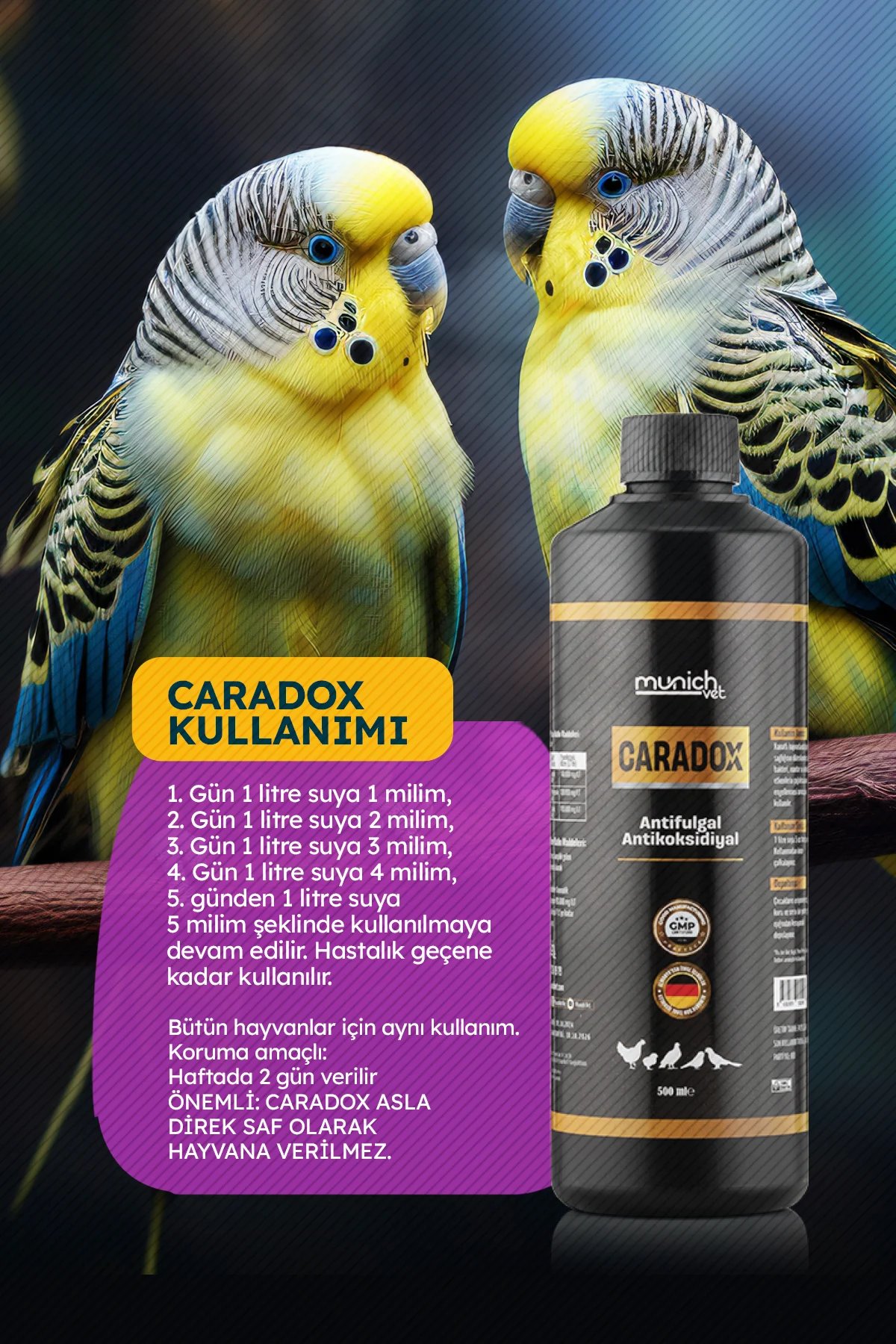 Caradox Kursak mantarı Peynirleşme Pamukcuk Hırıltı Ürünü - 500ml