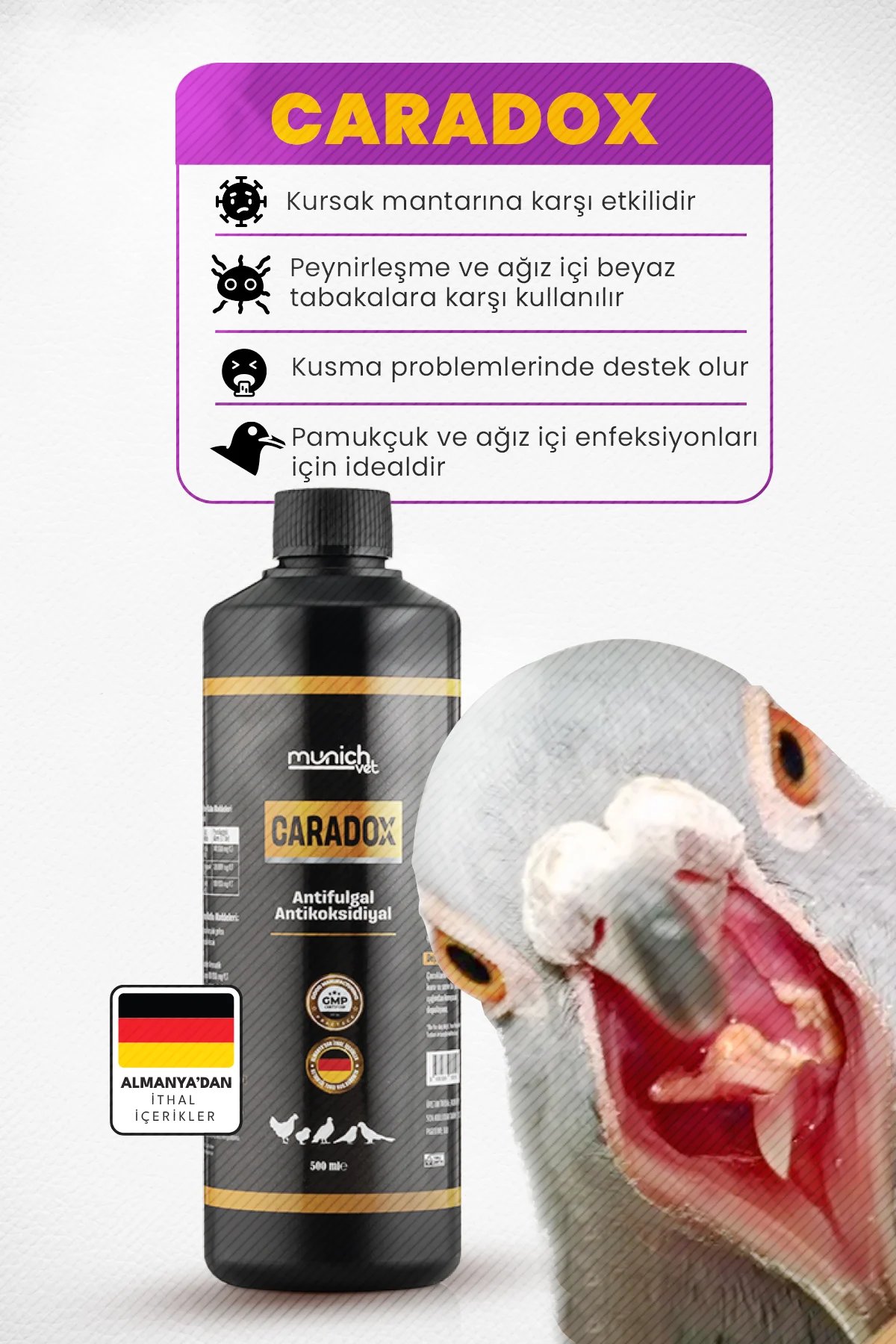 Caradox Kursak mantarı Peynirleşme Pamukcuk Hırıltı Ürünü - 500ml
