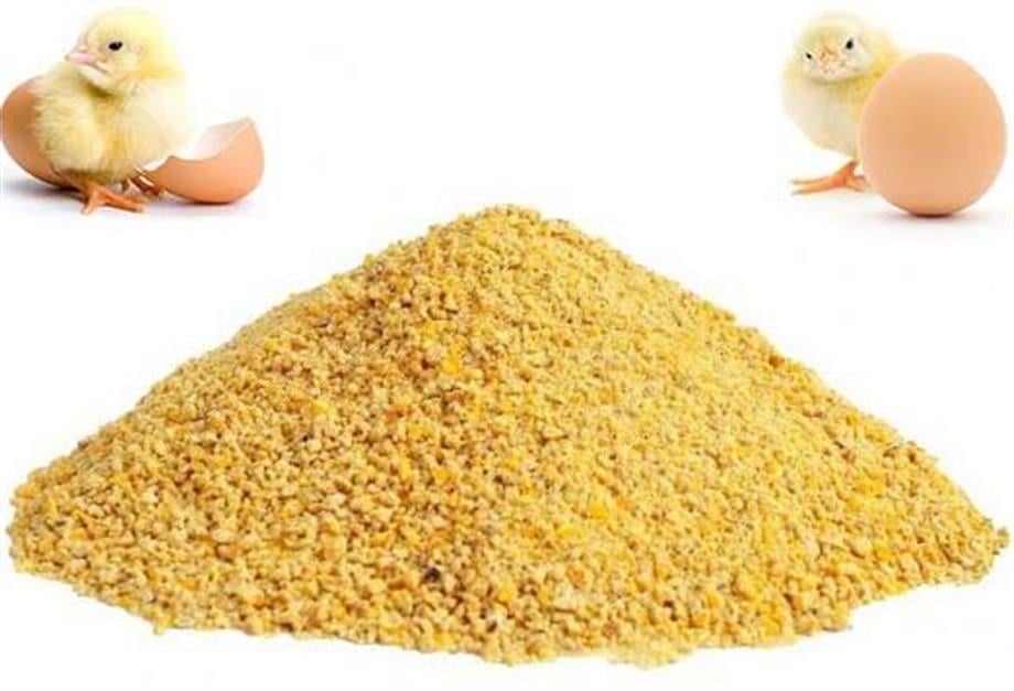 Etlik Civciv Yemi-5Kg