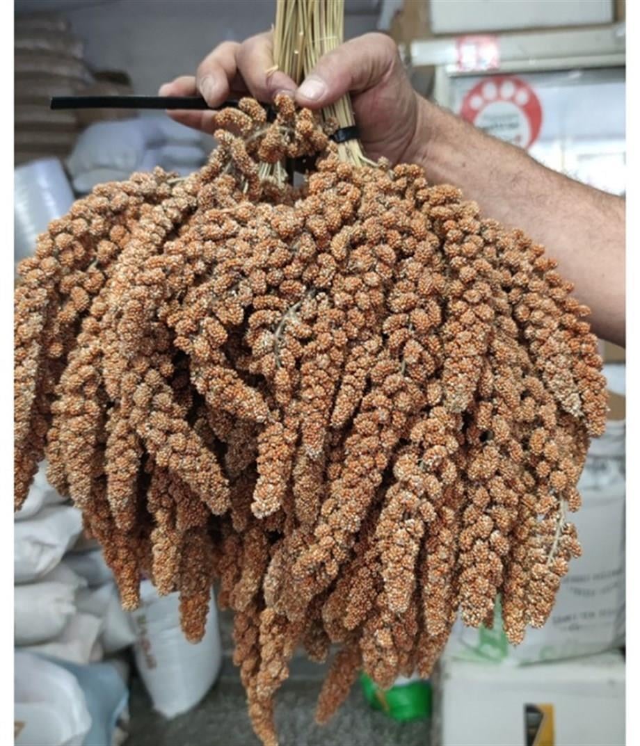 Kızıl Dal Darı -5Kg