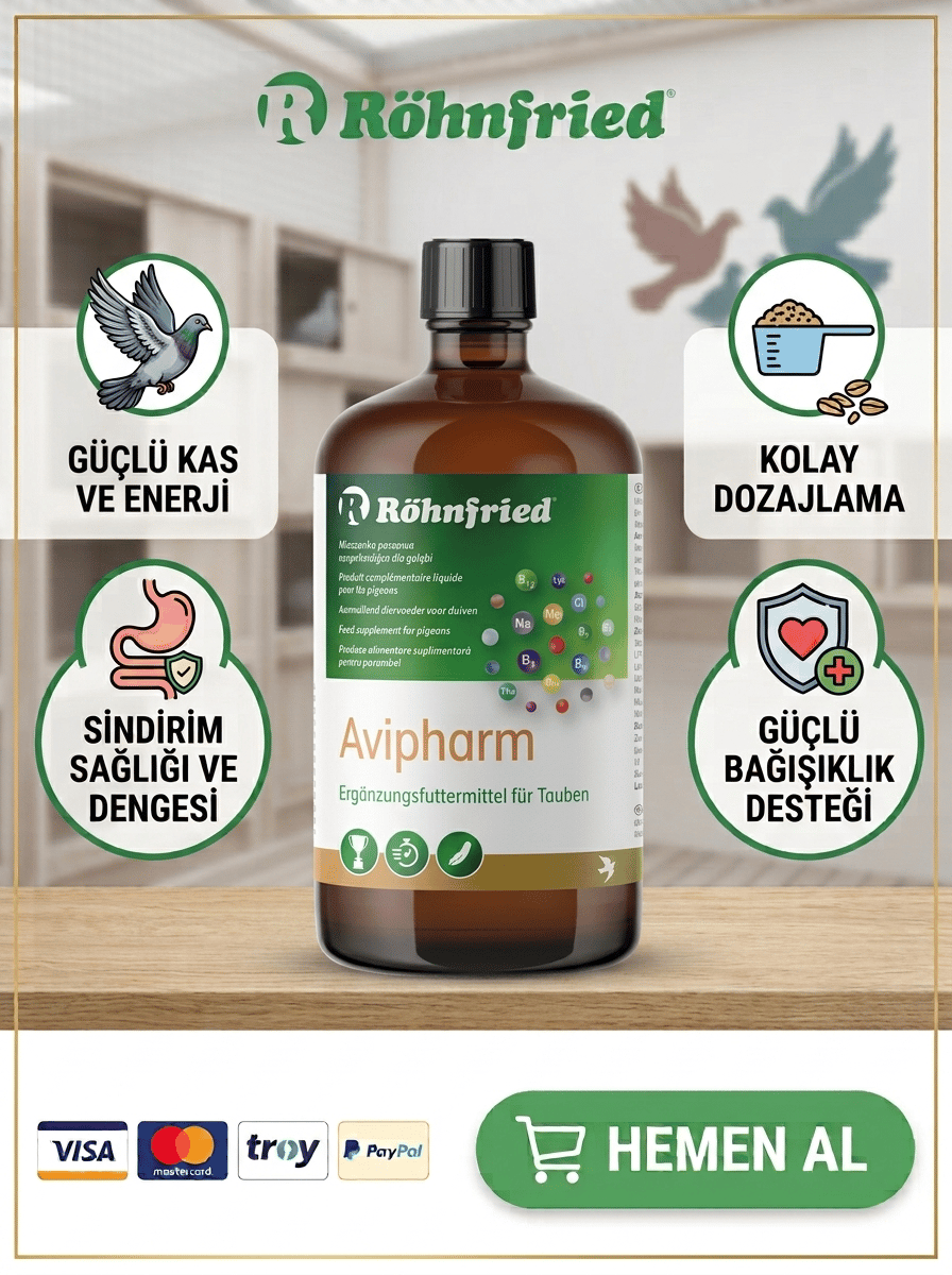 Röhnfried Avipharm 1Lt Aminoasit Elektrolik Vitamin Karışımı